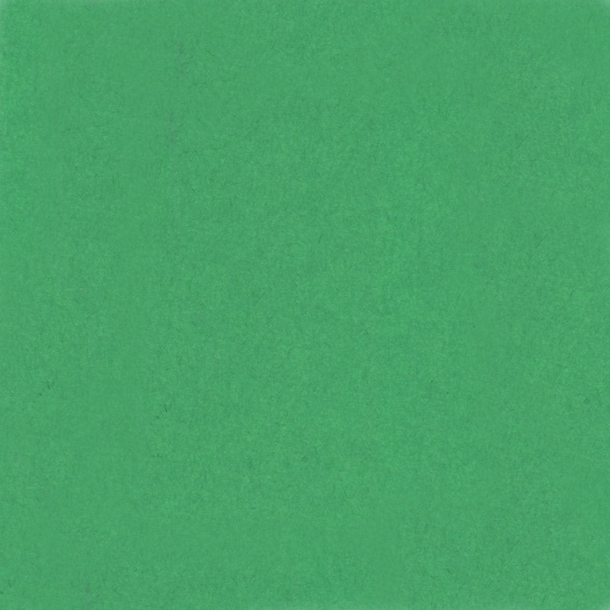Pacon Colored 4-Ply Poster/Railroad Board, Holiday Green, 22