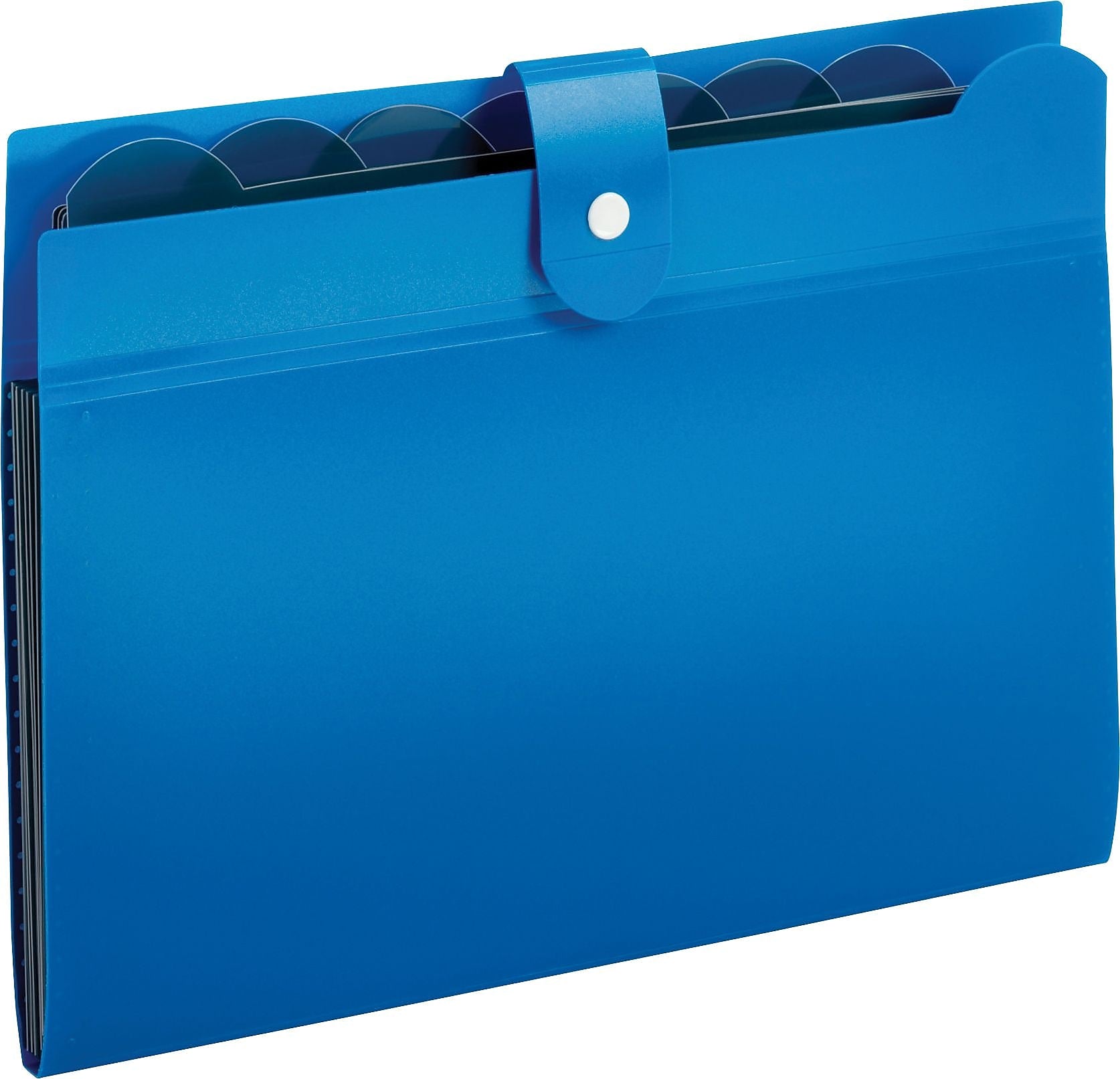 Pendaflex Plastic Accordion File, 7-Pocket, Letter, Blue