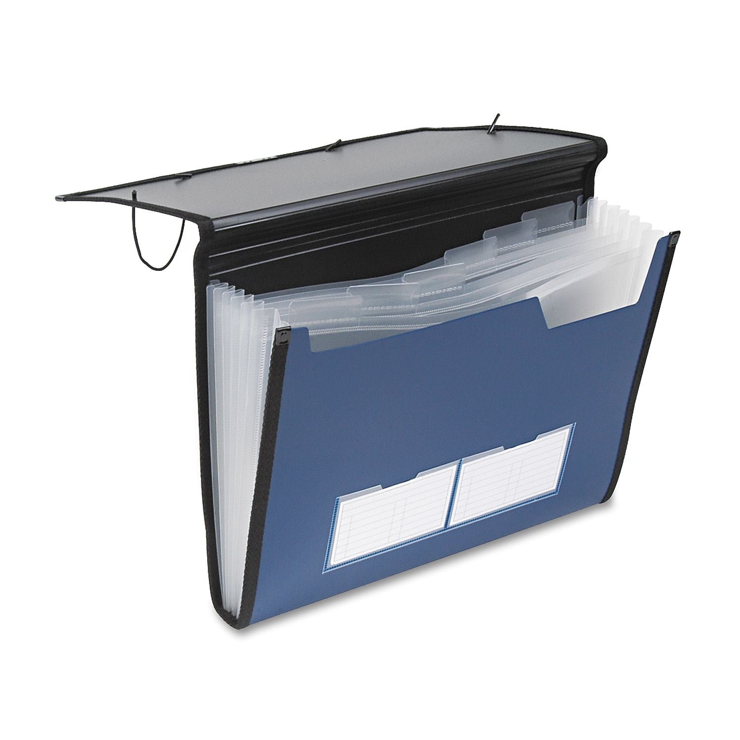 Pendaflex Professional Expanding Organizer, Blue, Letter, Each