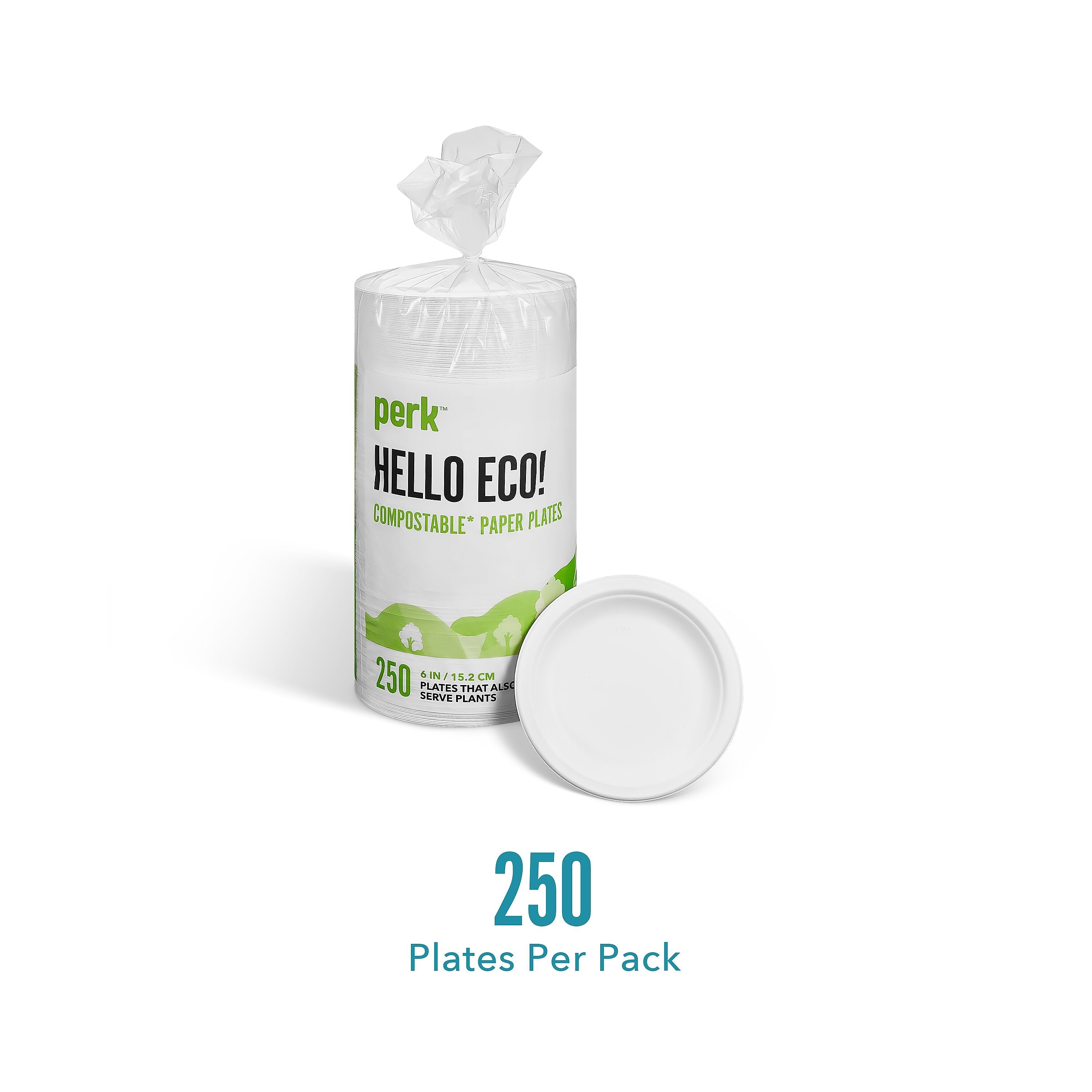 Perk™ Compostable Paper Plates, 6