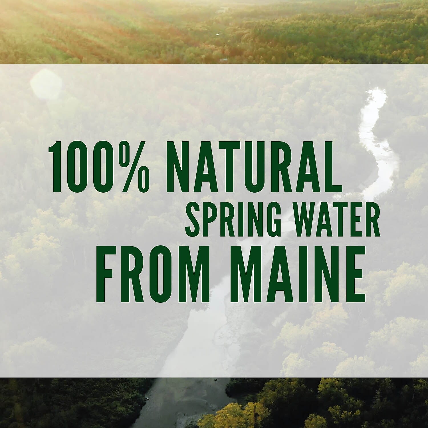Poland Spring 100% Natural Spring Water, Regular Flavor, 8 oz. Mini Plastic Bottles, 48/Carton