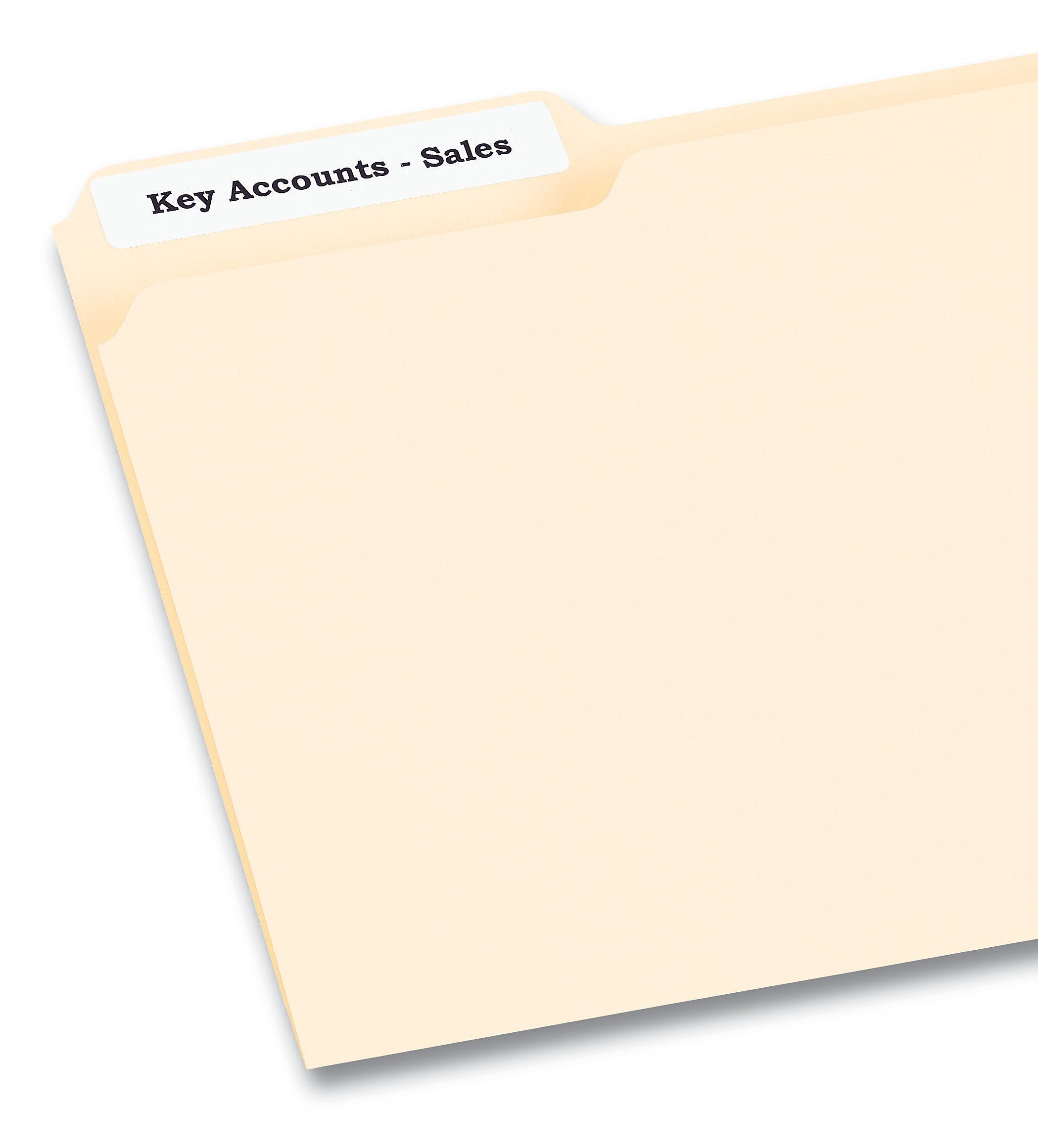 Pres-a-ply Laser/Inkjet File Folder Labels, 2/3
