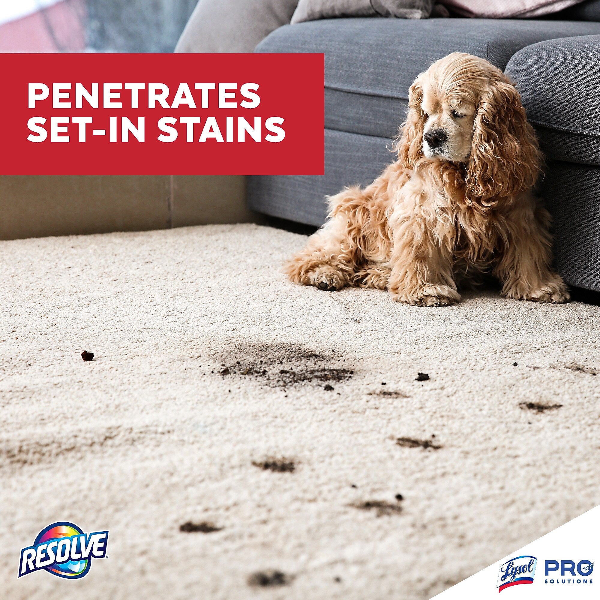 Professional Resolve Spot & Stain Carpet Cleaner, 32 Oz.