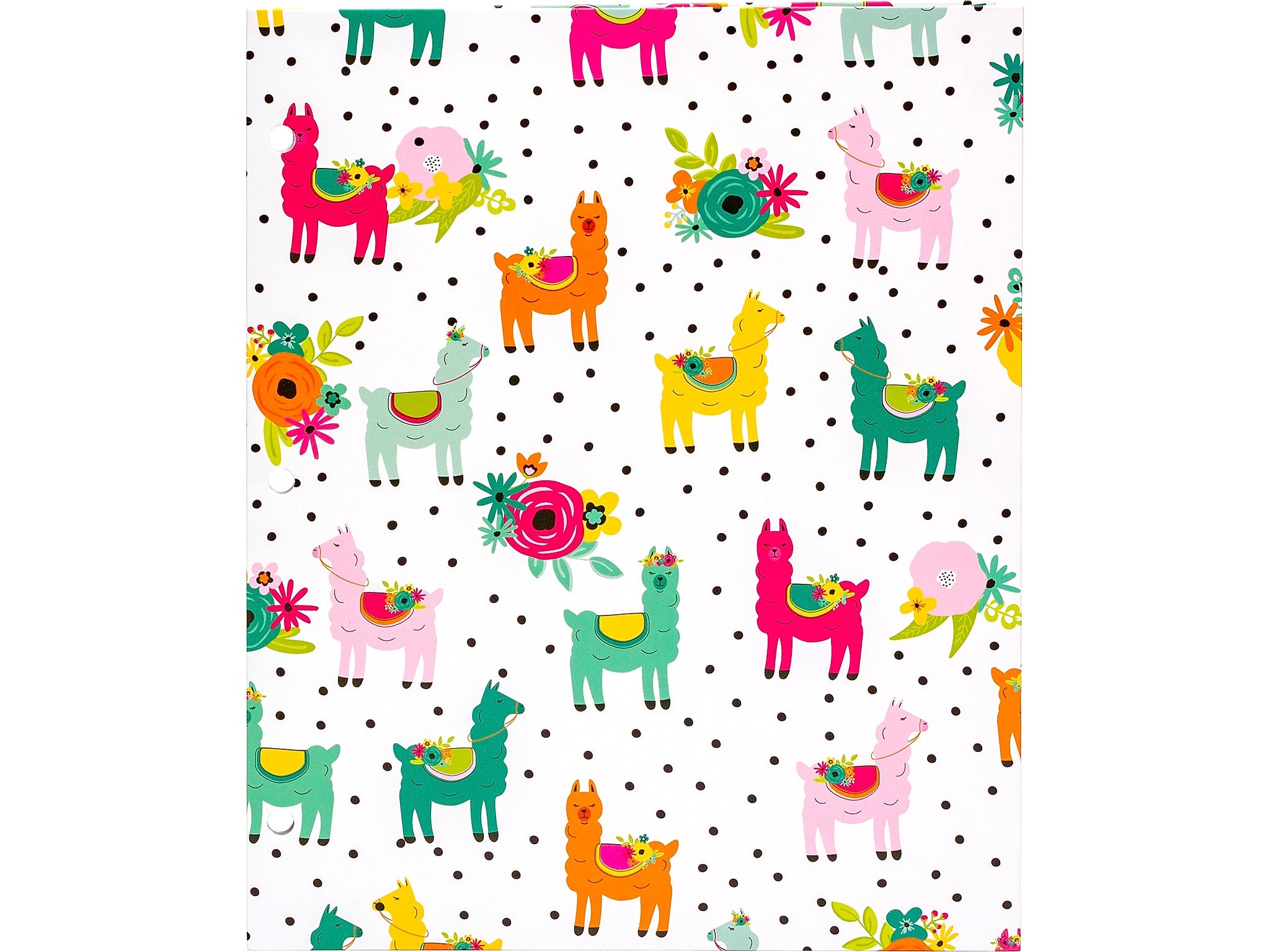 Pukka Pad Carpe Diem Rainbow Color Wash 3-Hole Punched 2-Pocket Portfolio Folders, Assorted Colors, 6/Pack