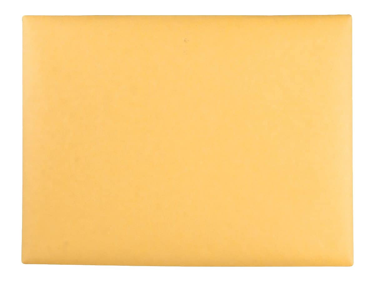Quality Park Clasp Kraft Catalog Envelopes, 9