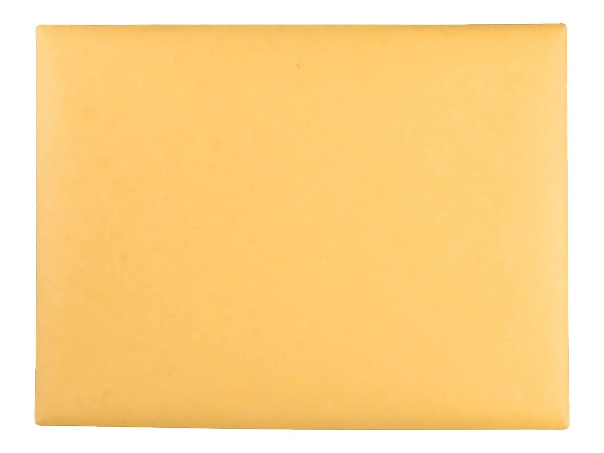 Quality Park Clasp Kraft Catalog Envelopes, 9"L x 12"H, Kraft, 100/Box