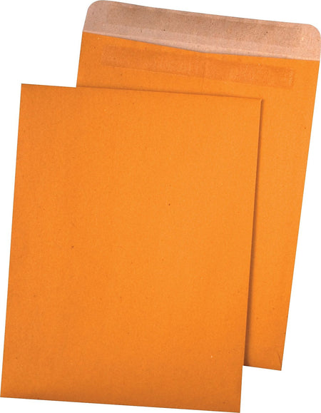 Quality Park Redi-Seal Kraft Catalog Envelope, 9" x 12", Brown, 100/Box