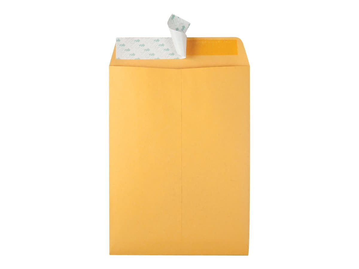 Quality Park Redi-Strip Catalog Envelopes, 9