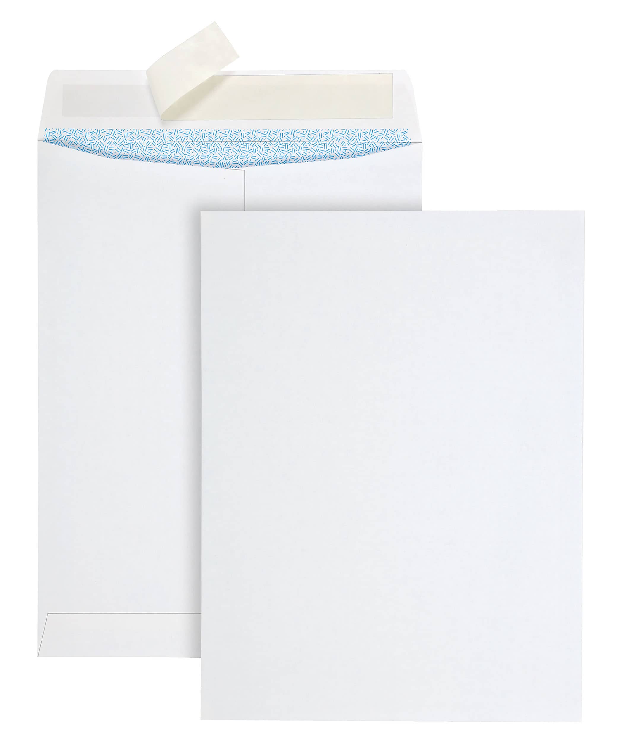 Quality Park Redi-Strip Self Seal Catalog Envelope, 9