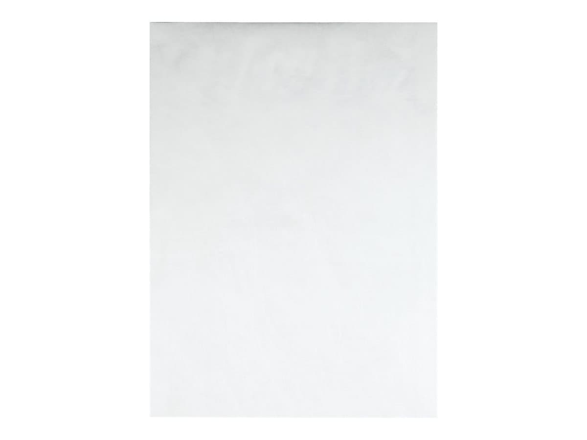 Quality Park Survivor Self Seal Catalog Envelopes, 10