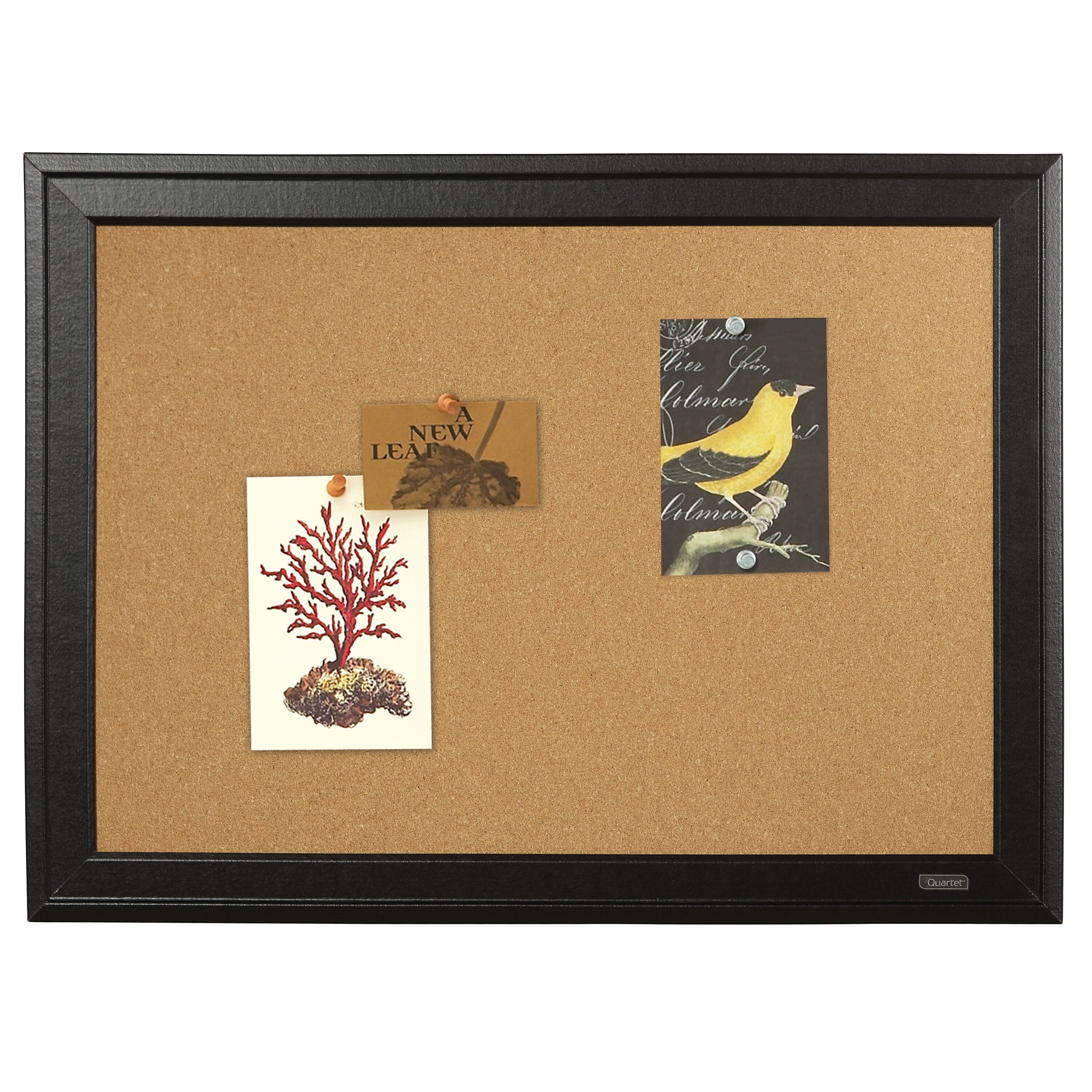 Quartet Cork Bulletin Board, Black Frame, 23'' x 17''