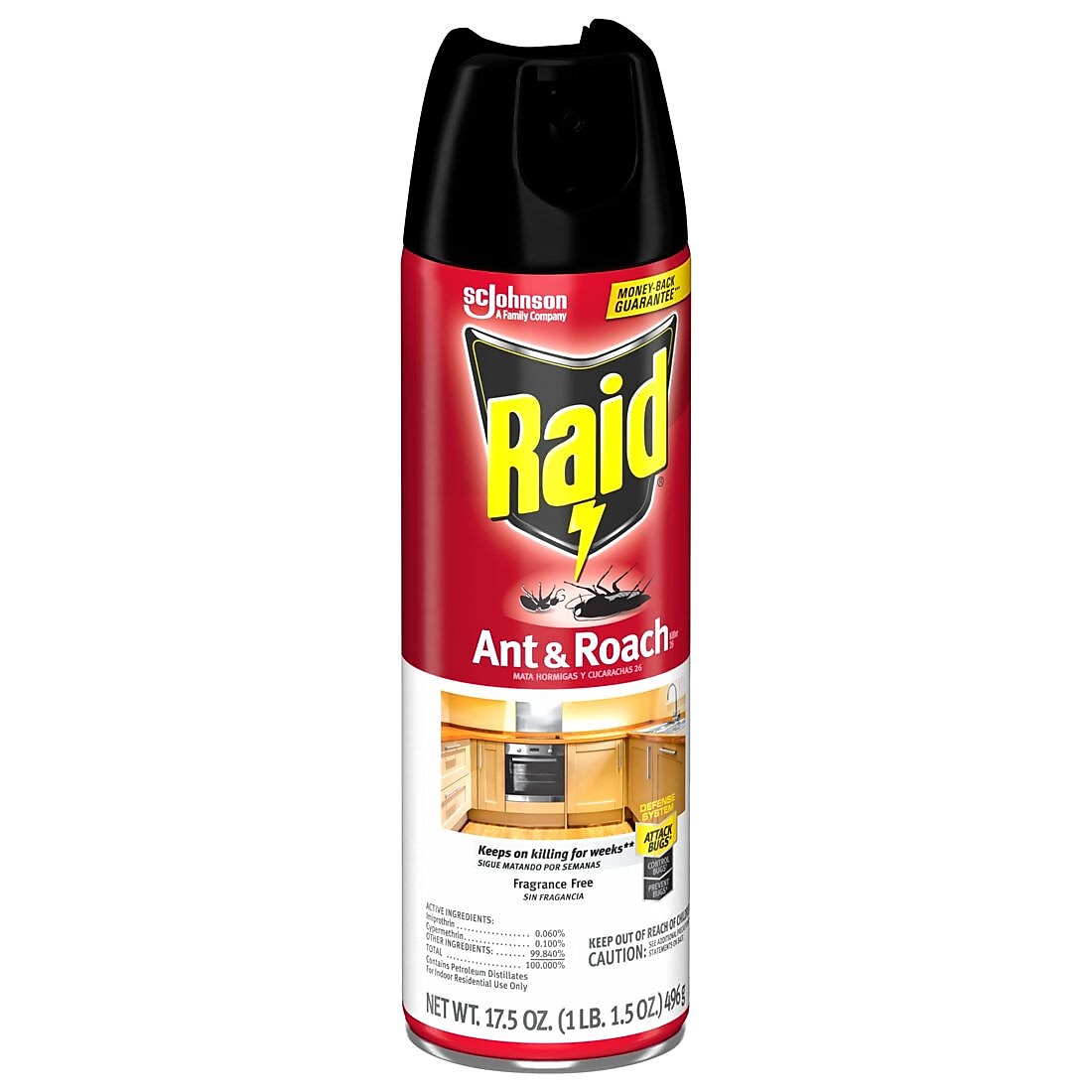 Raid Ant & Roach Killer 26 Aerosol for Ants & Roaches, Fragrance Free, 17.5 oz