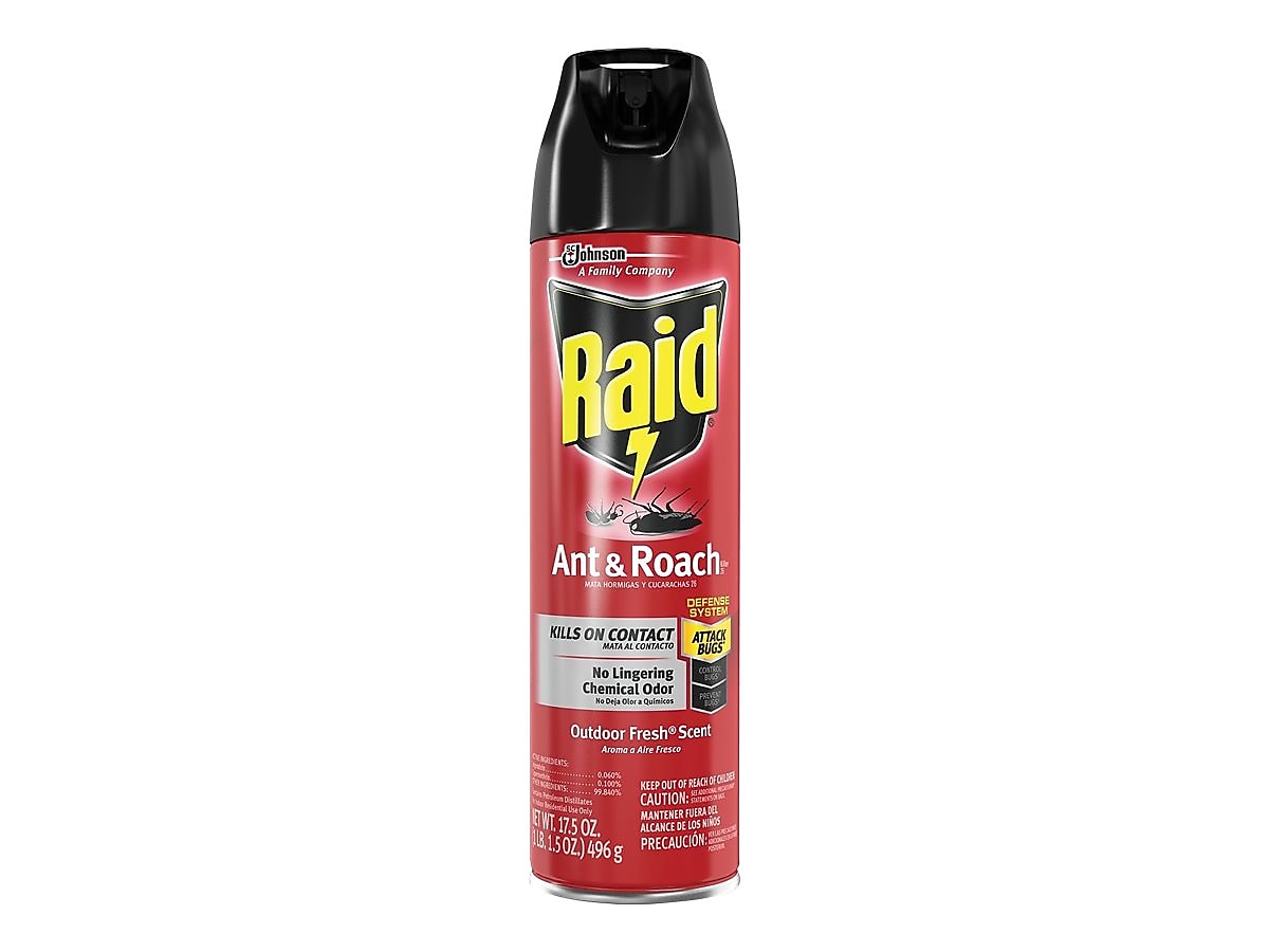 Raid Ant & Roach Killer 26 Aerosol for Ants & Roaches, Outdoor Fresh Scent, 17.5 oz.