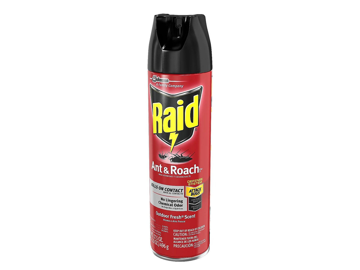 Raid Ant & Roach Killer 26 Aerosol for Ants & Roaches, Outdoor Fresh Scent, 17.5 oz.