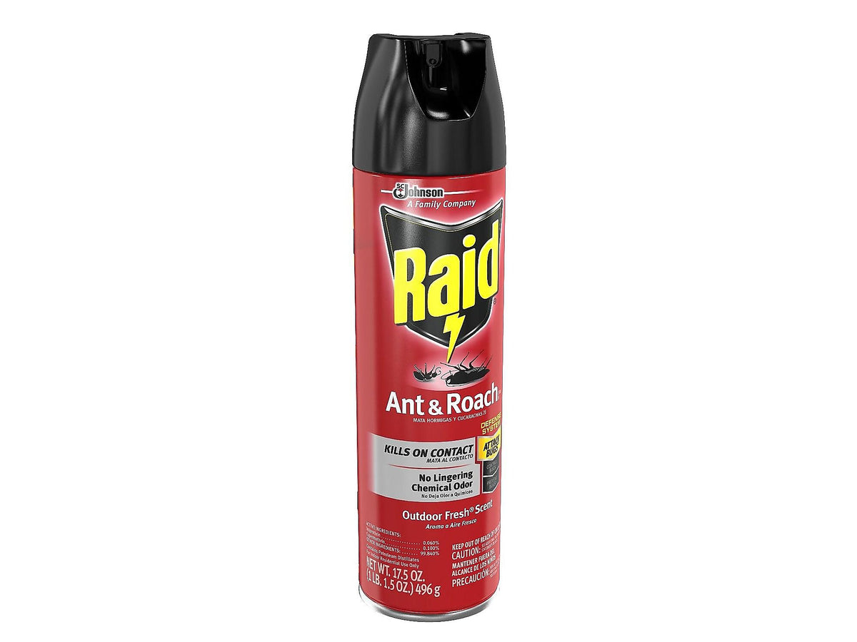 Raid Ant & Roach Killer 26 Aerosol for Ants & Roaches, Outdoor Fresh Scent, 17.5 oz.