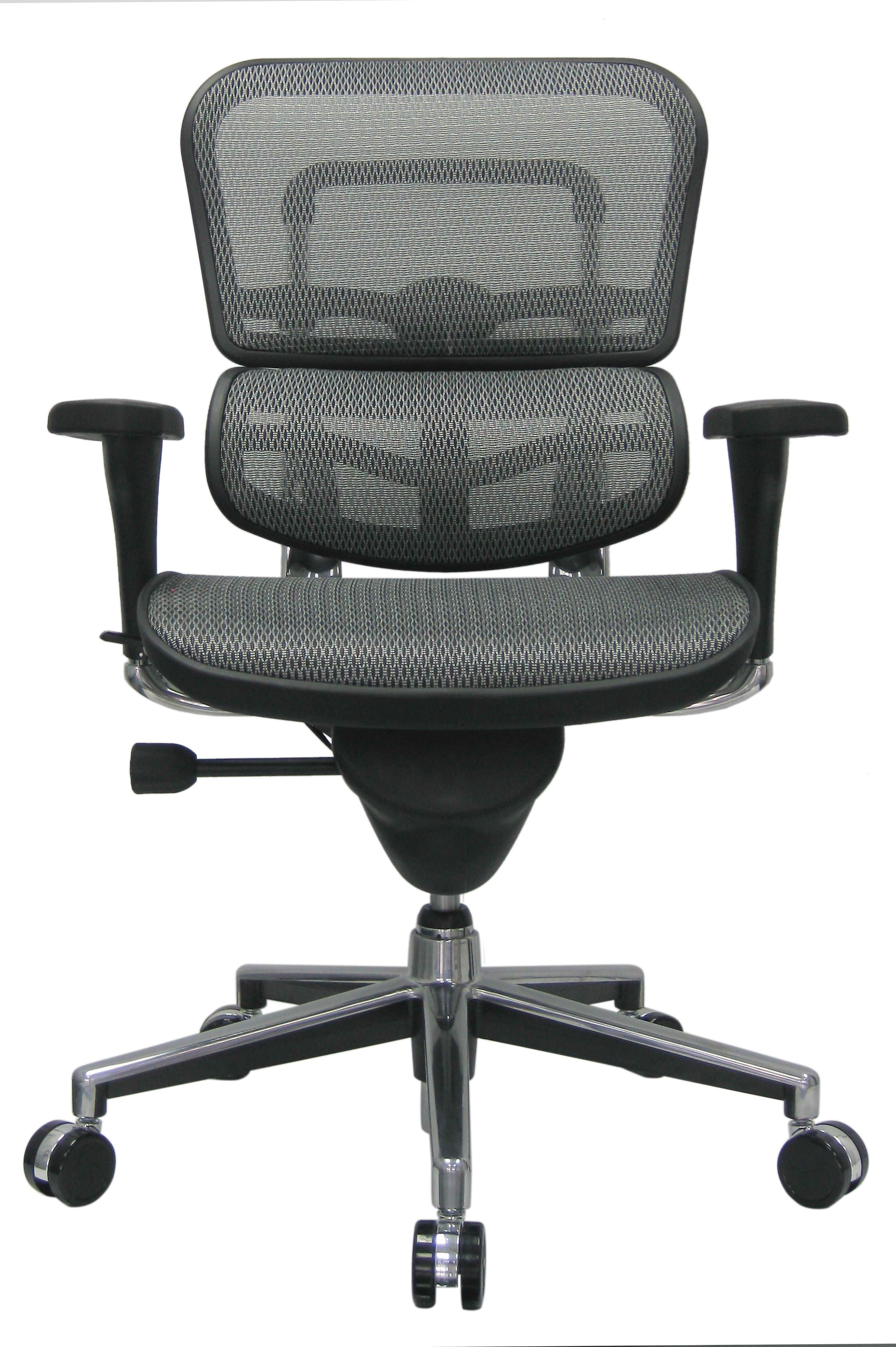 Raynor Eurotech Ergo human Mesh Mid Back Task Chair, Gray