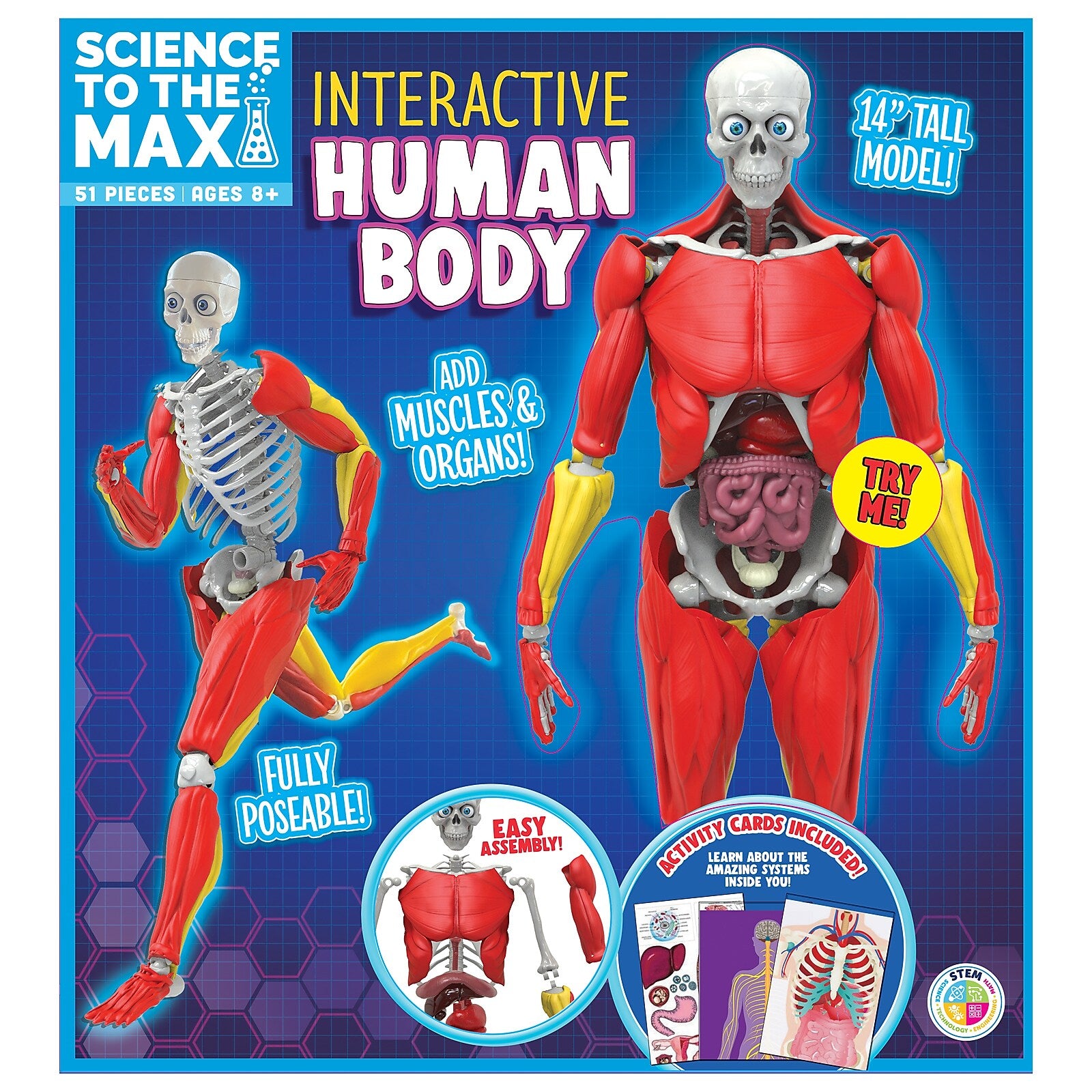Science to the Max, Plastic, Interactive Human Body, Multicolored