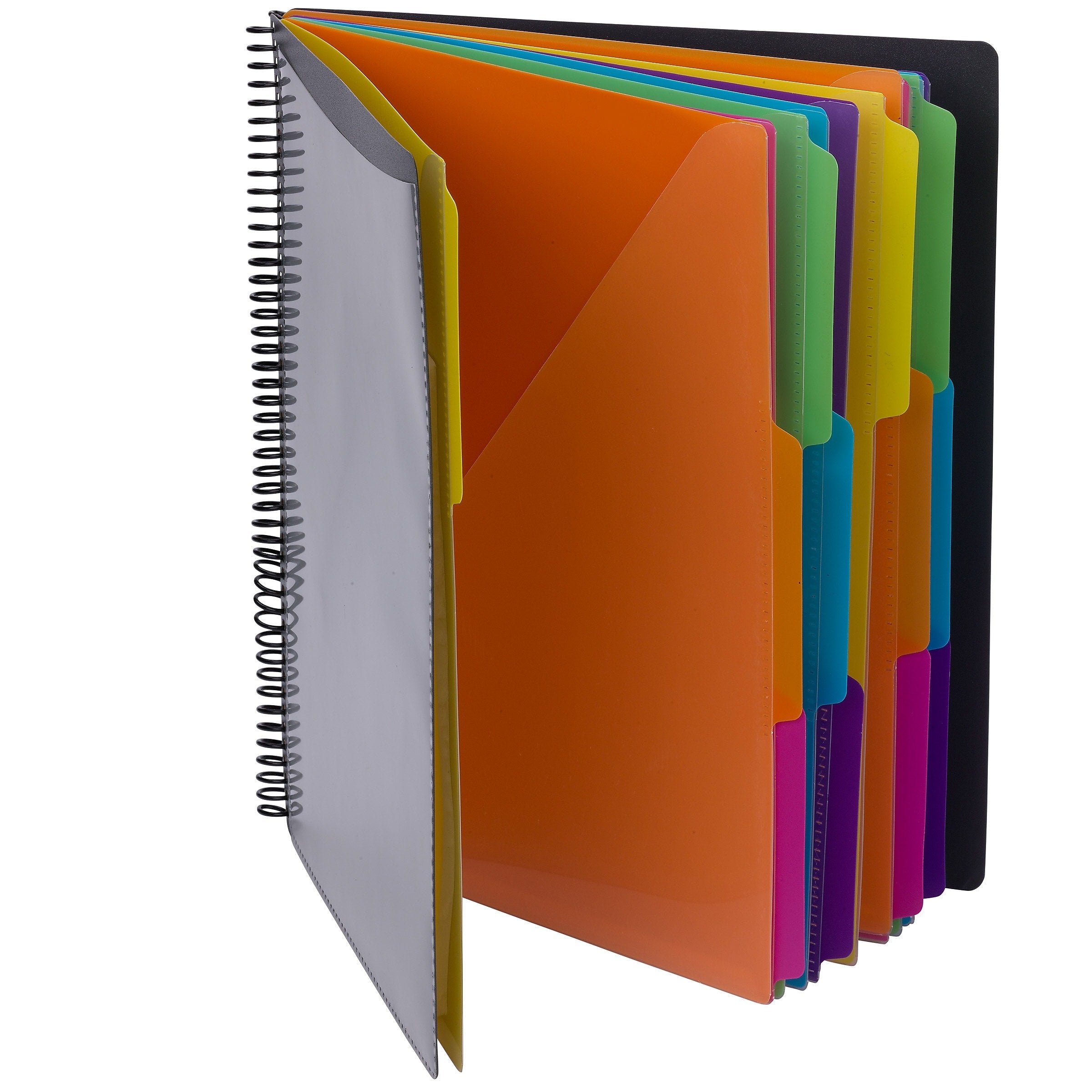 Smead 24-Pocket Poly Project Organizer with Multicolor Dividers, Gray