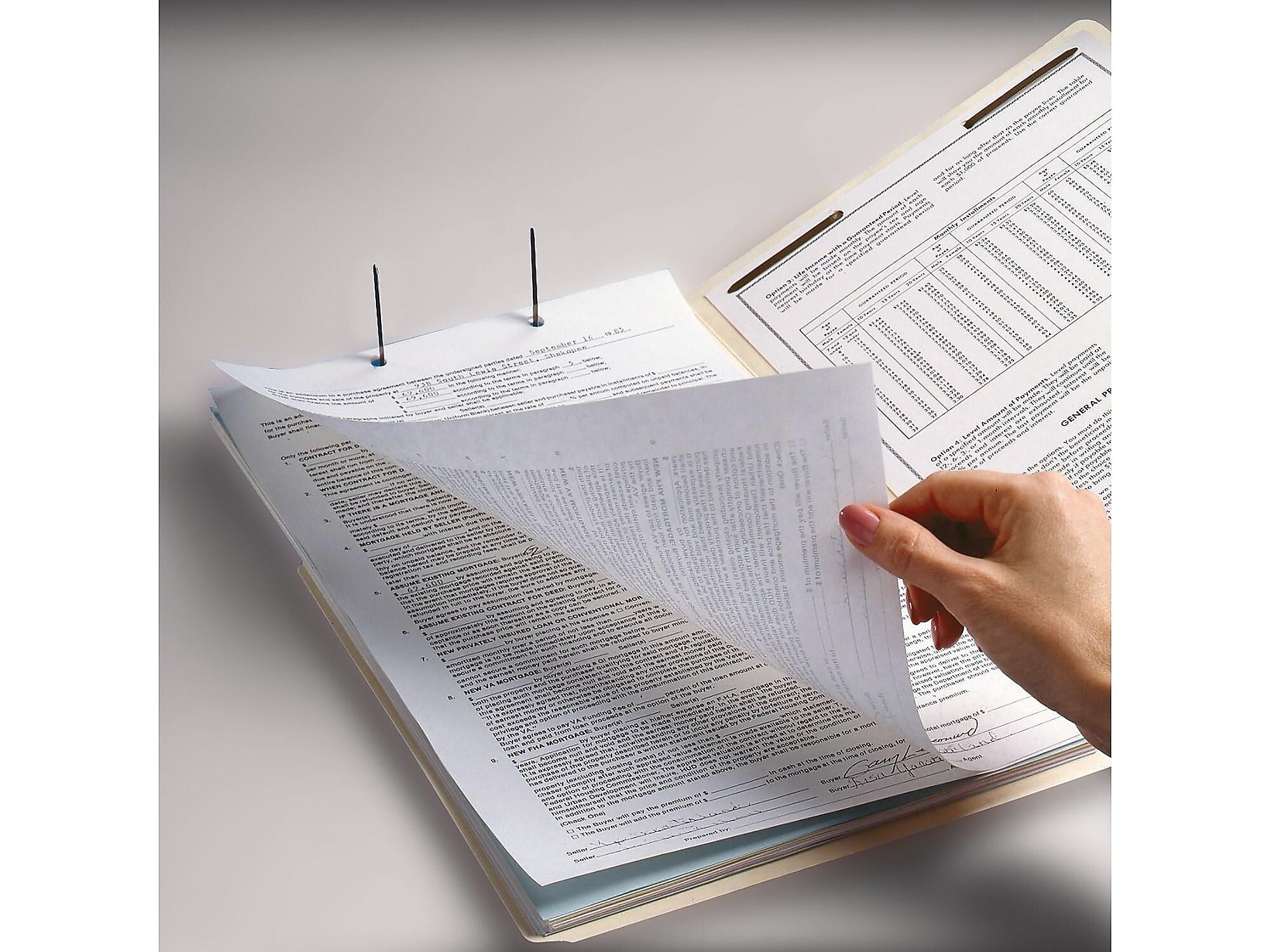 Smead End Tab Classification Folders, Shelf-Master Reinforced Straight-Cut Tab, Letter Size, Manila, 50/Box