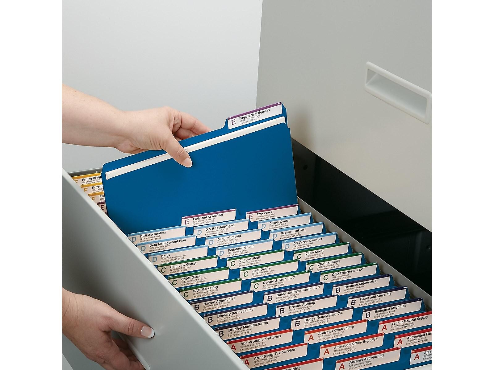 Smead Pressboard File Folder, 1/3-Cut Tab, 1