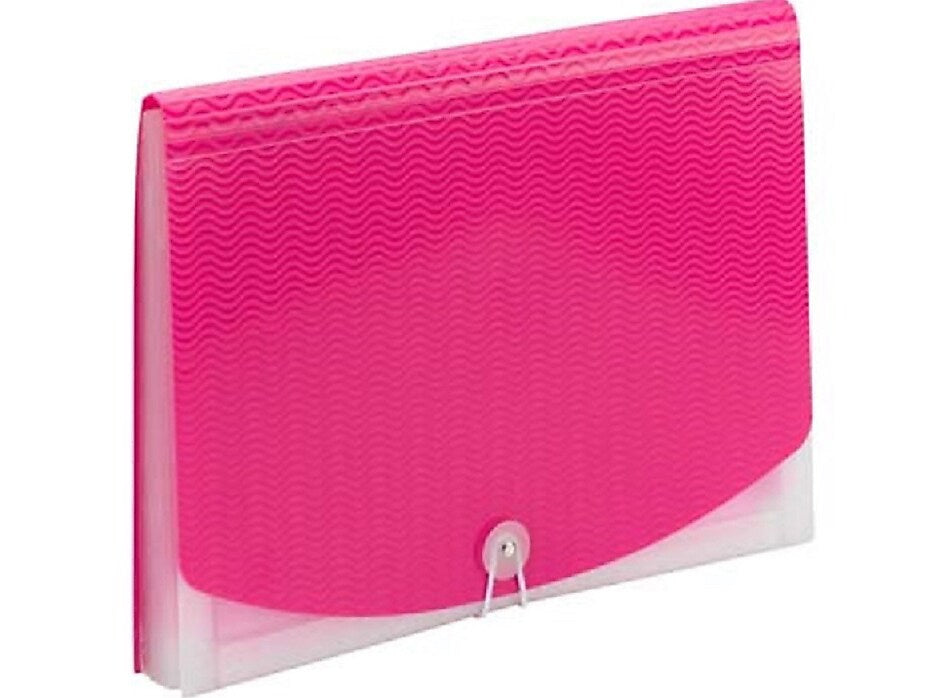 Smead Vibrant Line Plastic Accordion File, 12-Pocket, Letter Size, Pink/Clear