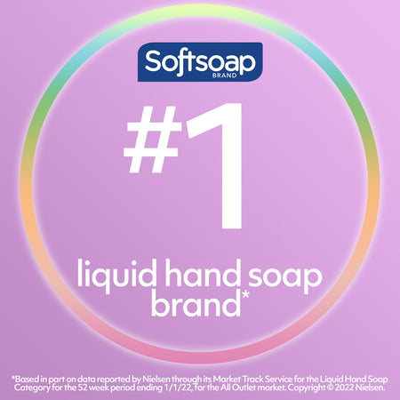 Softsoap Antibacterial Liquid Hand Soap, White Tea & Berry Fusion, 11.25 Oz.