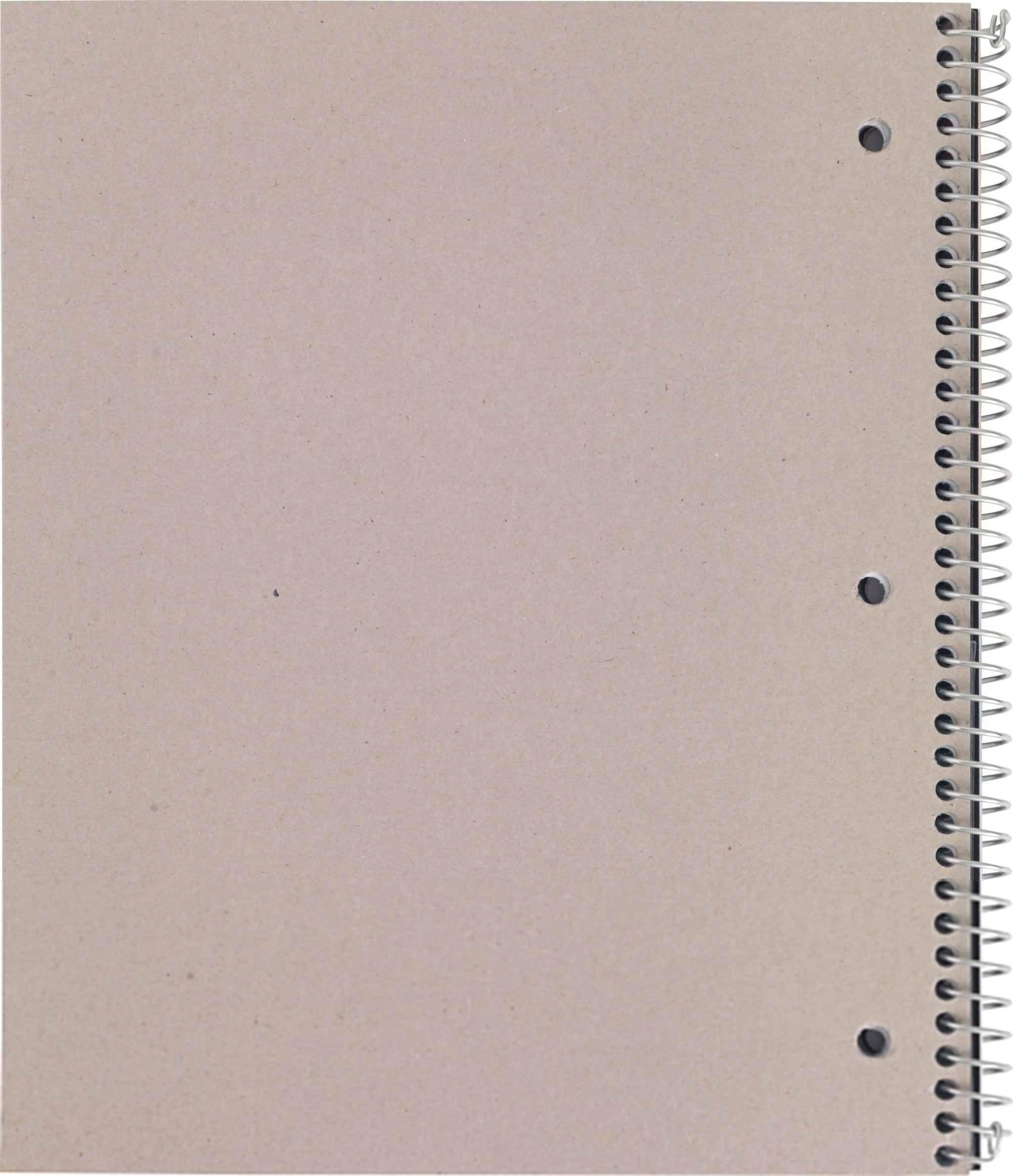 Staples Accel 1-Subject Subject Notebook, 8-1/2