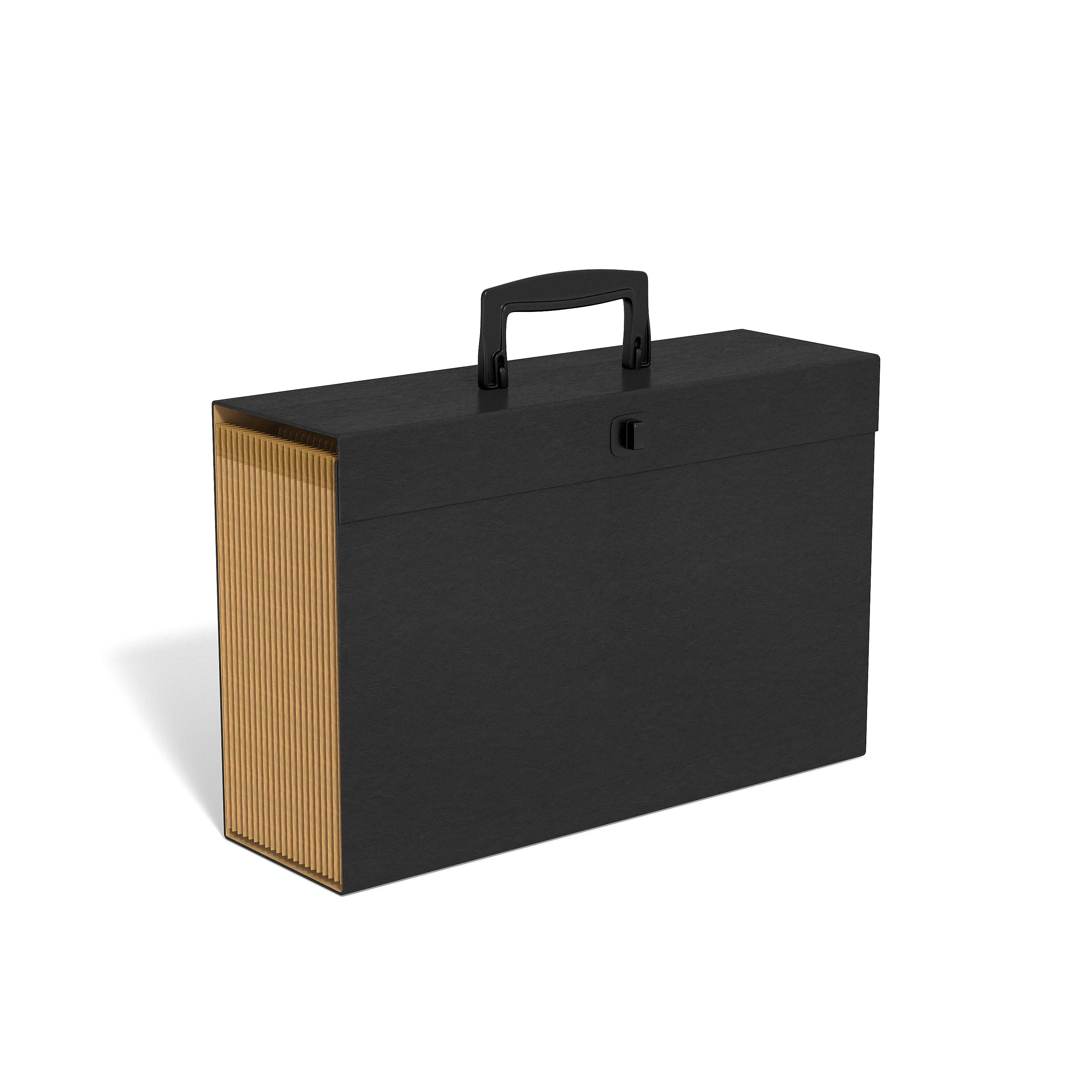 Staples Accordion File, Multiple Index, 19-Pocket, Legal Size, Black