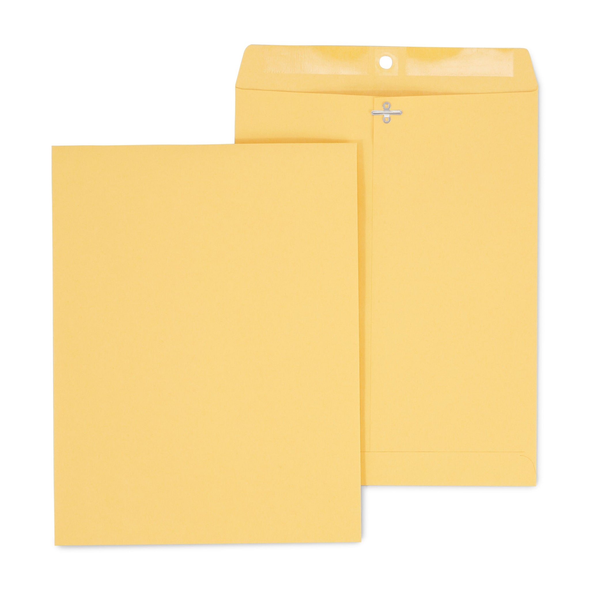 Staples Clasp & Gummed Catalog Envelopes, 10