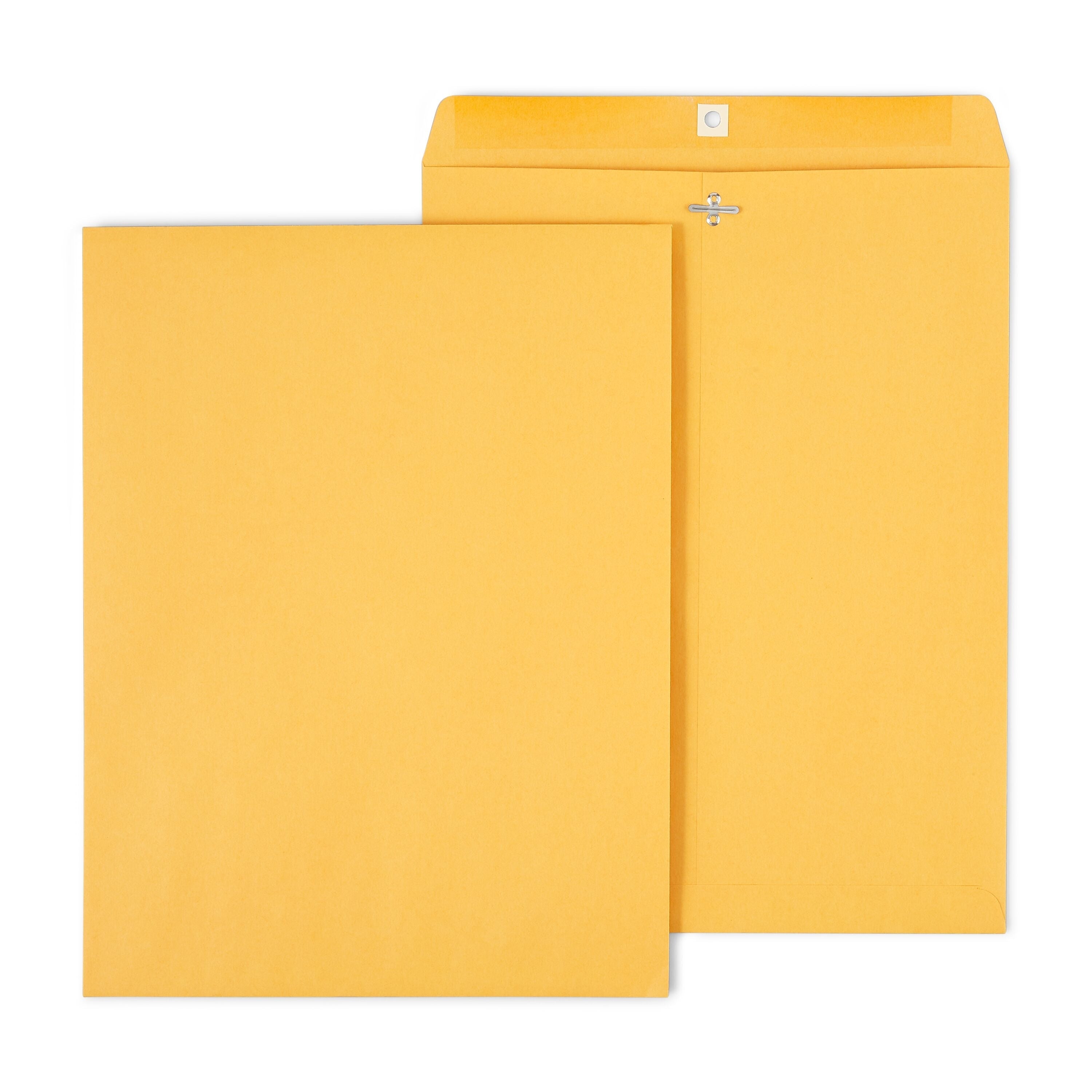 Staples Clasp & Moistenable Glue #15.5 Catalog Envelopes, 12