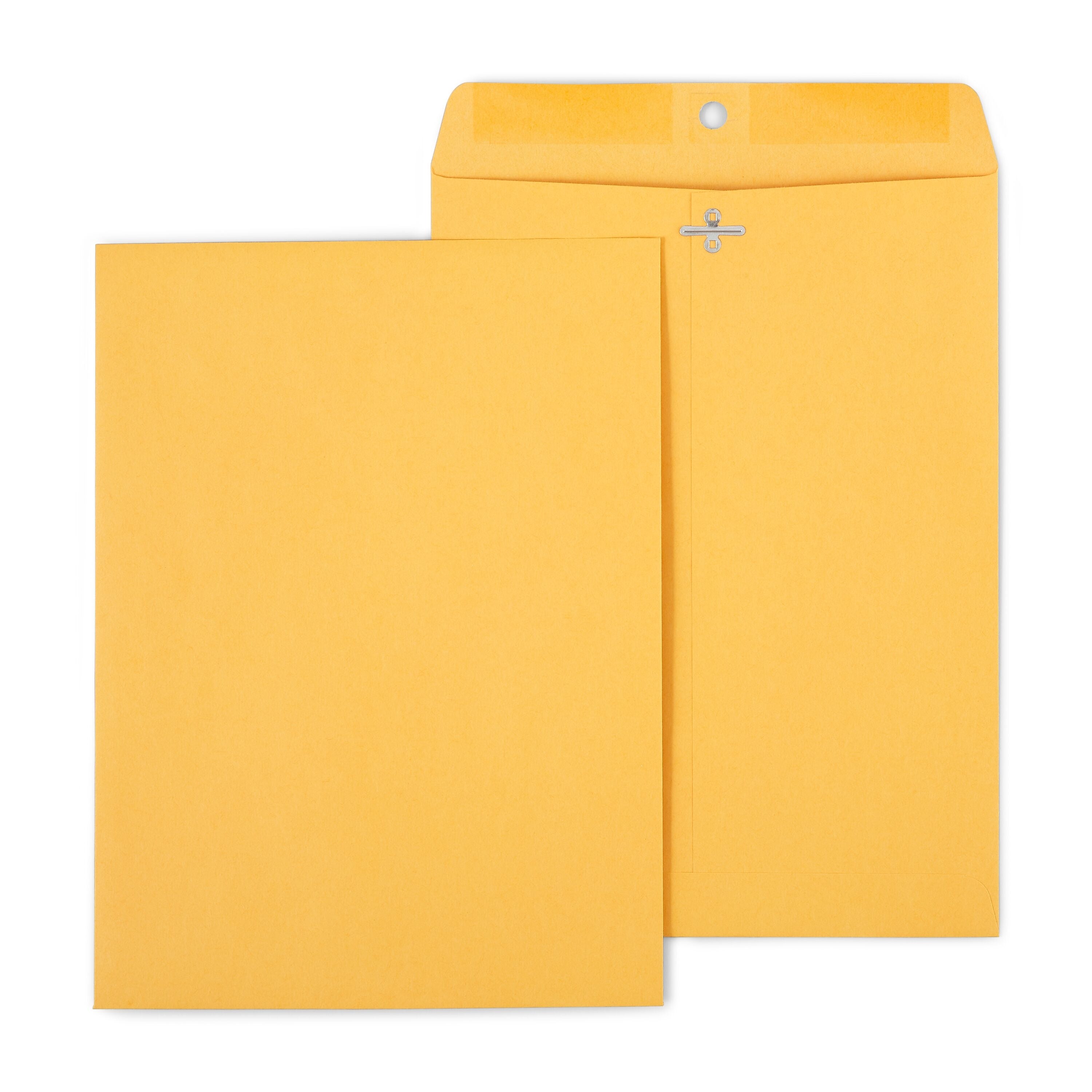 Staples Clasp & Moistenable Glue Catalog Envelopes, 9