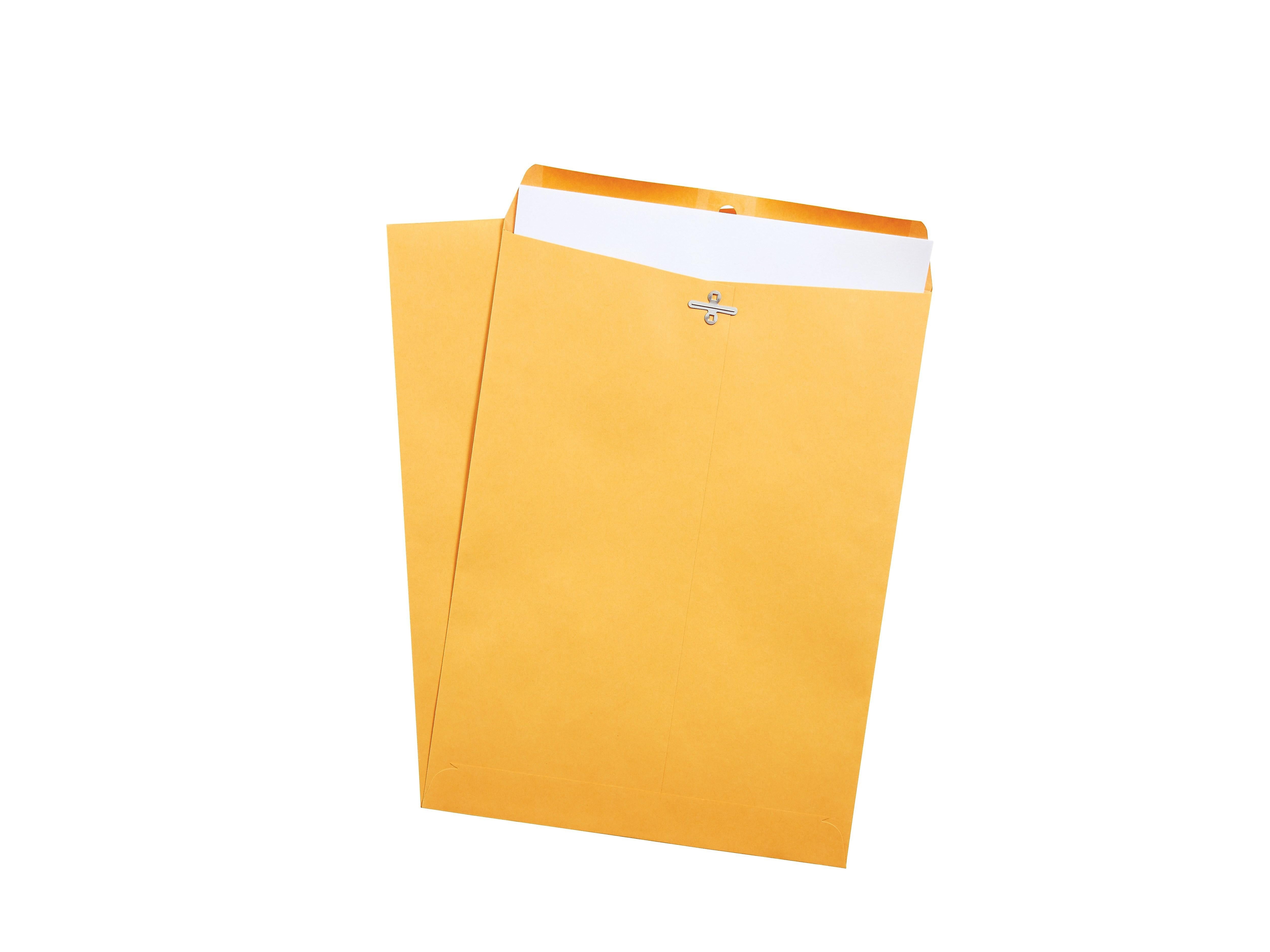 Staples Clasp & Moistenable Glue Catalog Envelopes, 9