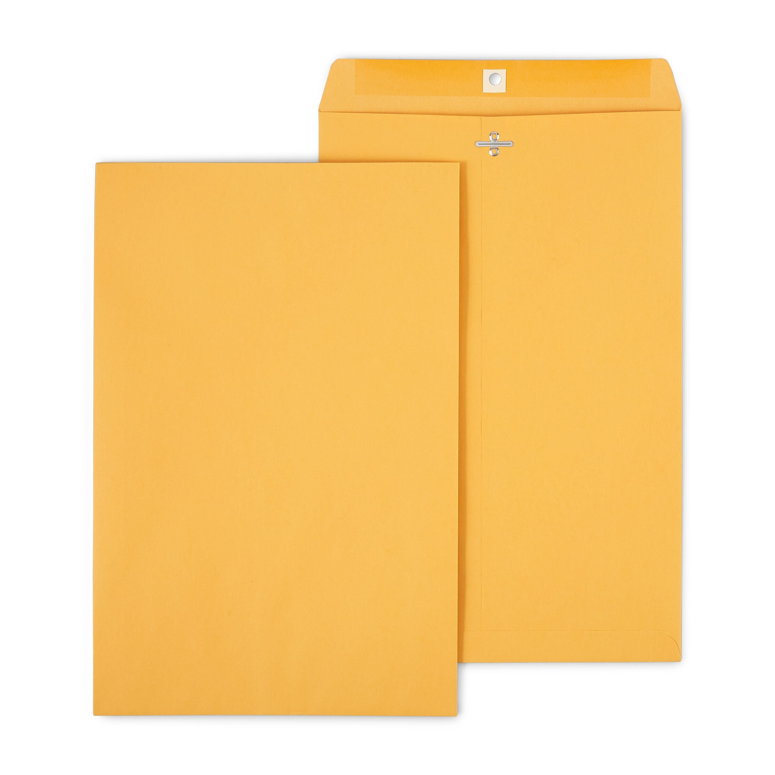 Staples Clasp & Moistenable Glue Kraft Catalog Envelopes, 10