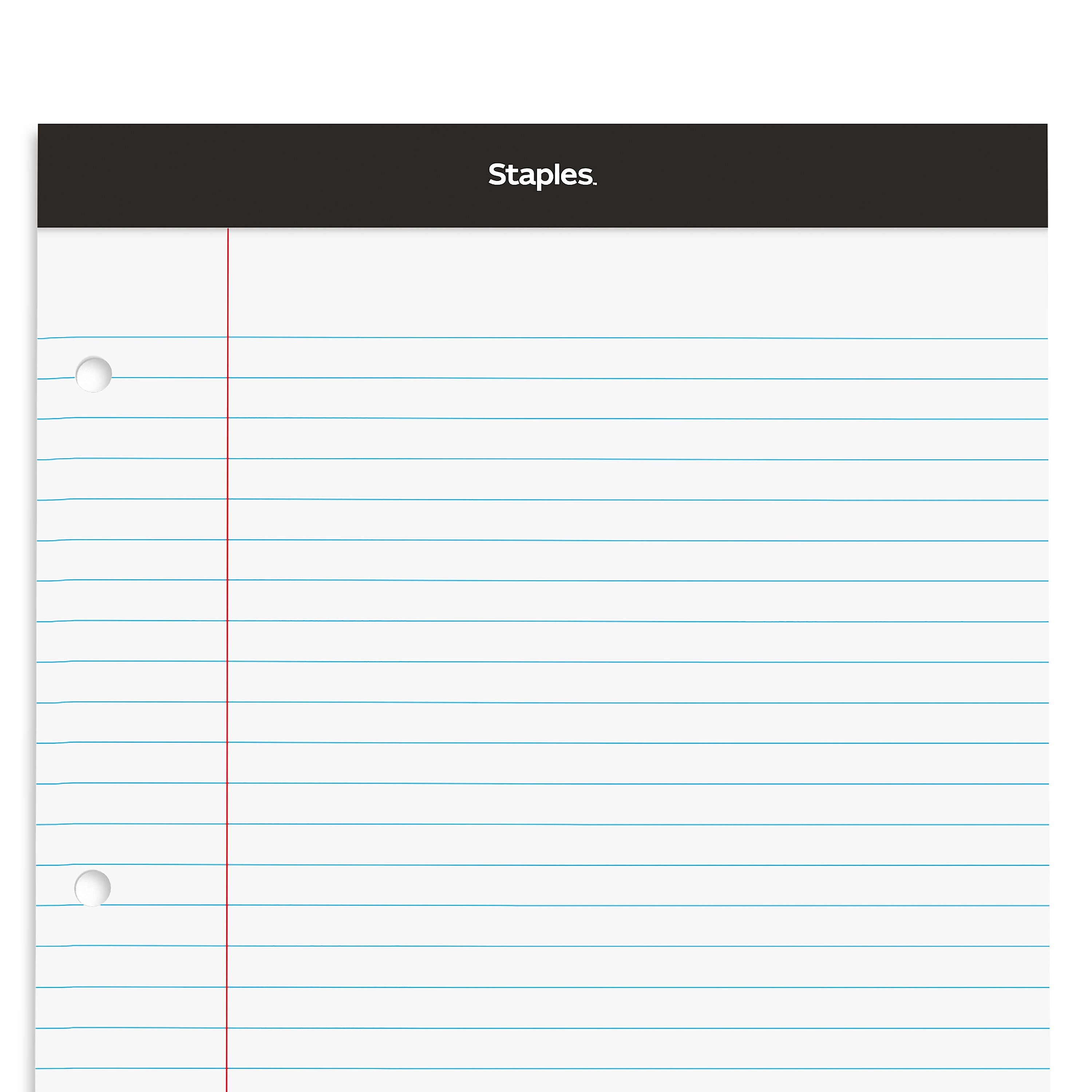 Staples Double-Sheet Notepad, 8.5