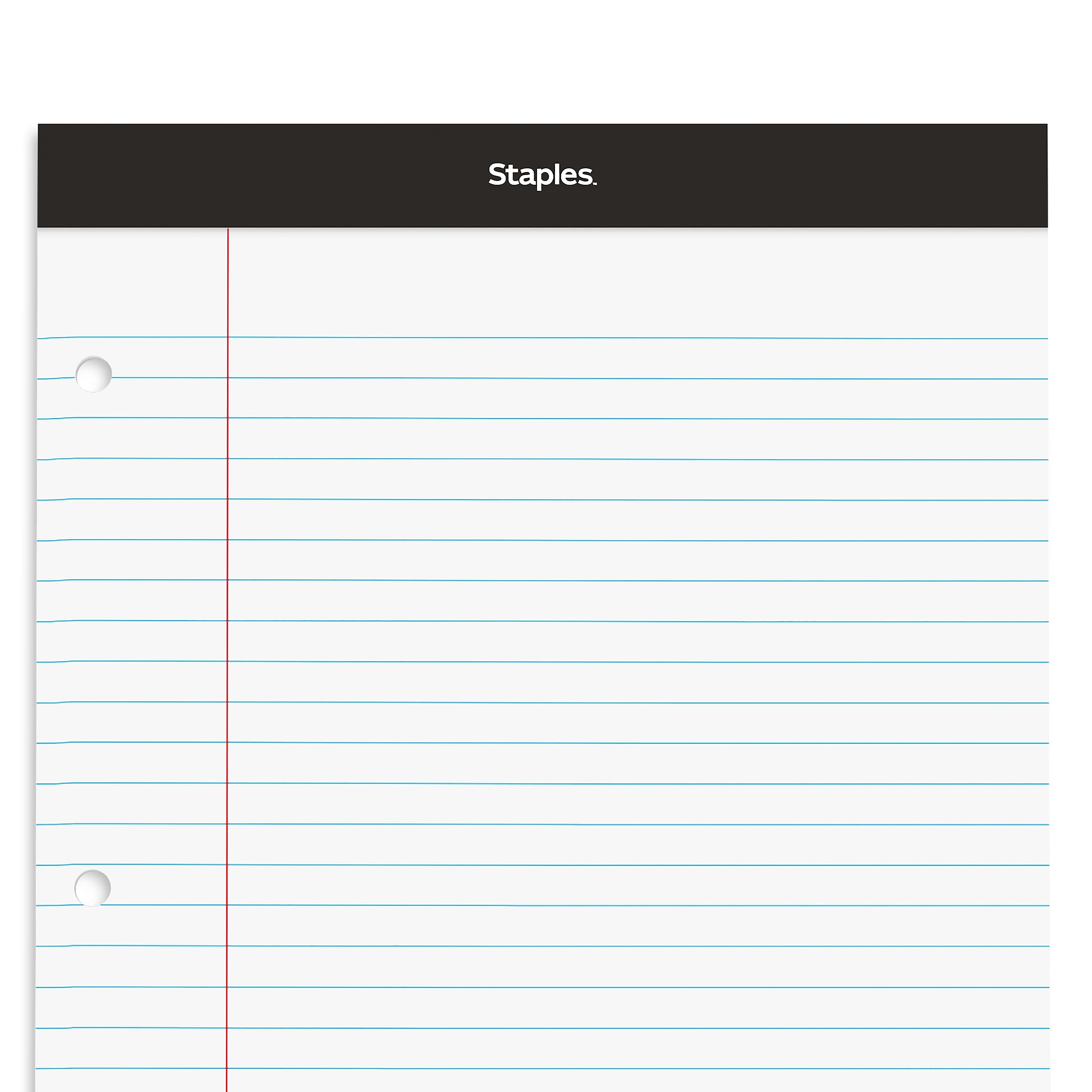 Staples Double-Sheet Notepad, 8.5