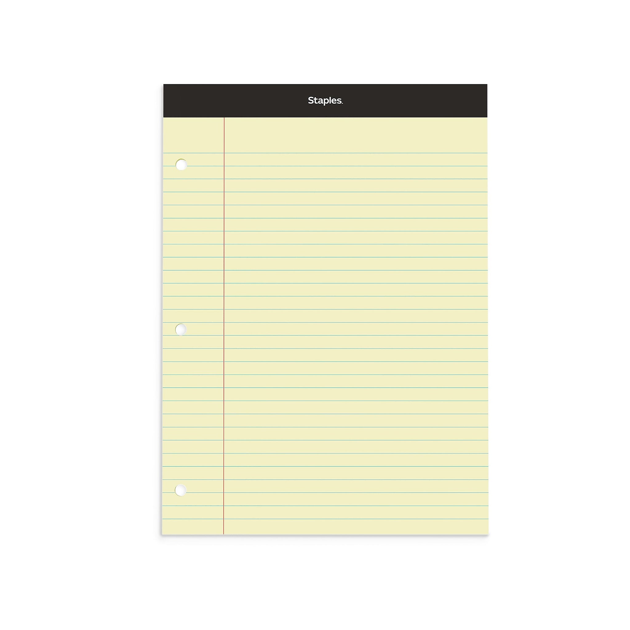 Staples Double-Sheet Notepad, 8.5