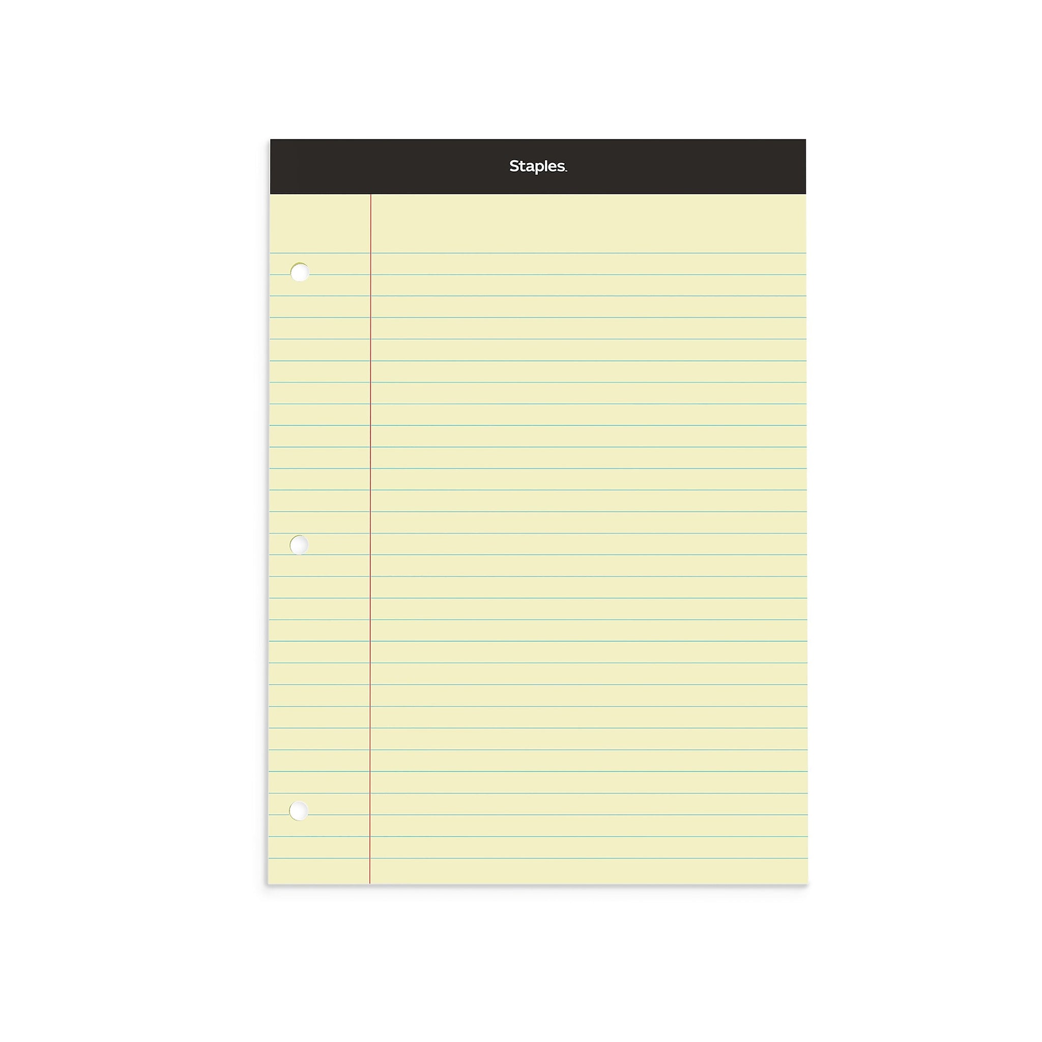 Staples Double-Sheet Notepad, 8.5