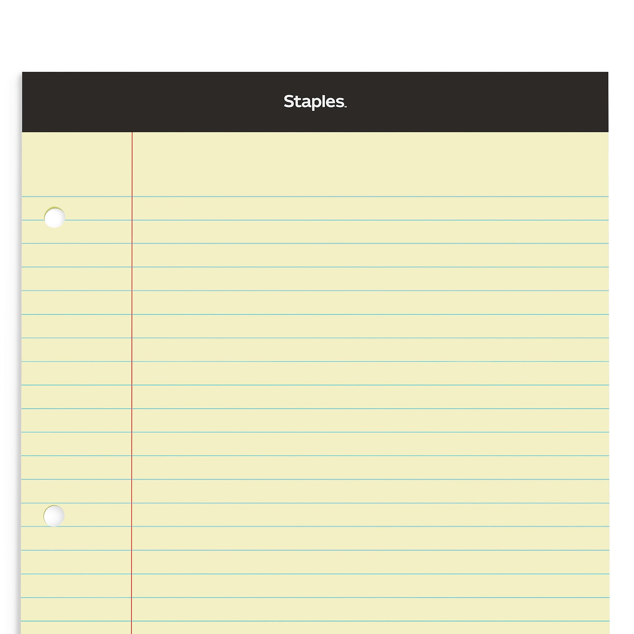 Staples Double-Sheet Notepad, 8.5