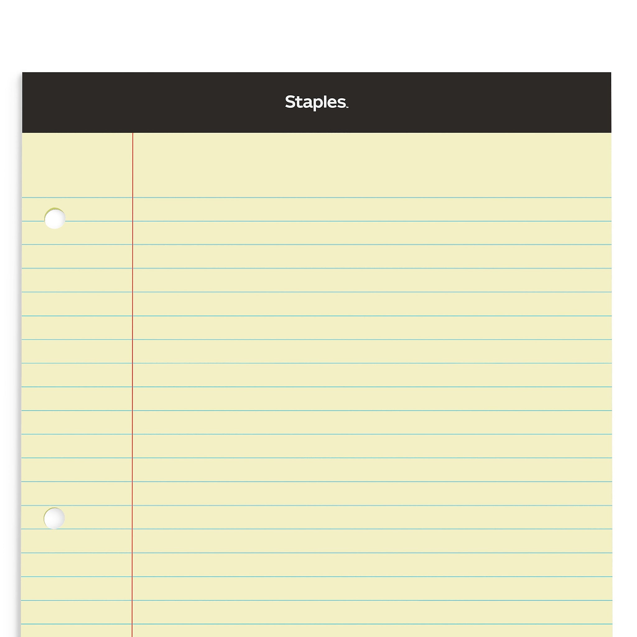 Staples Double-Sheet Notepad, 8.5