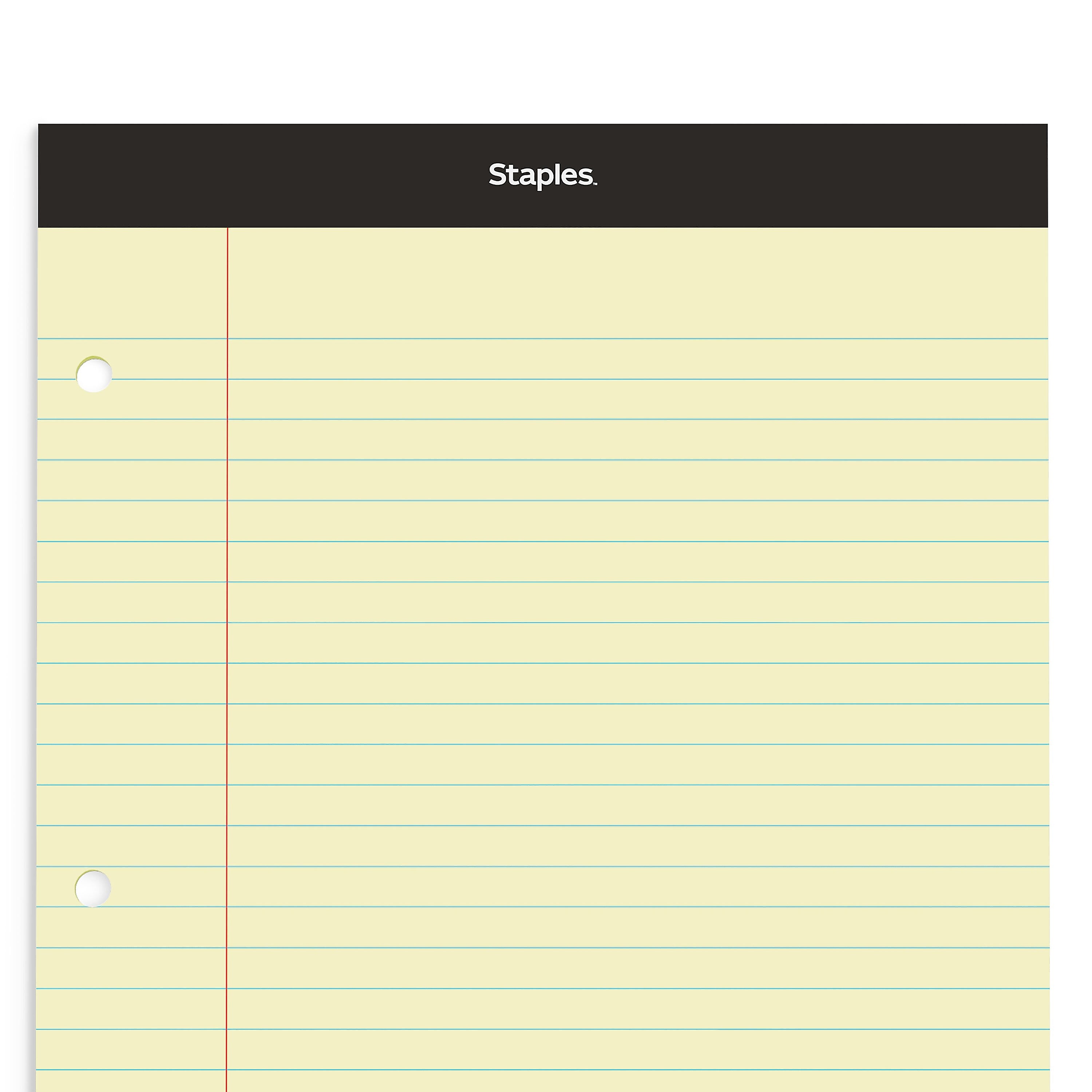 Staples Double-Sheet Notepad, 8.5