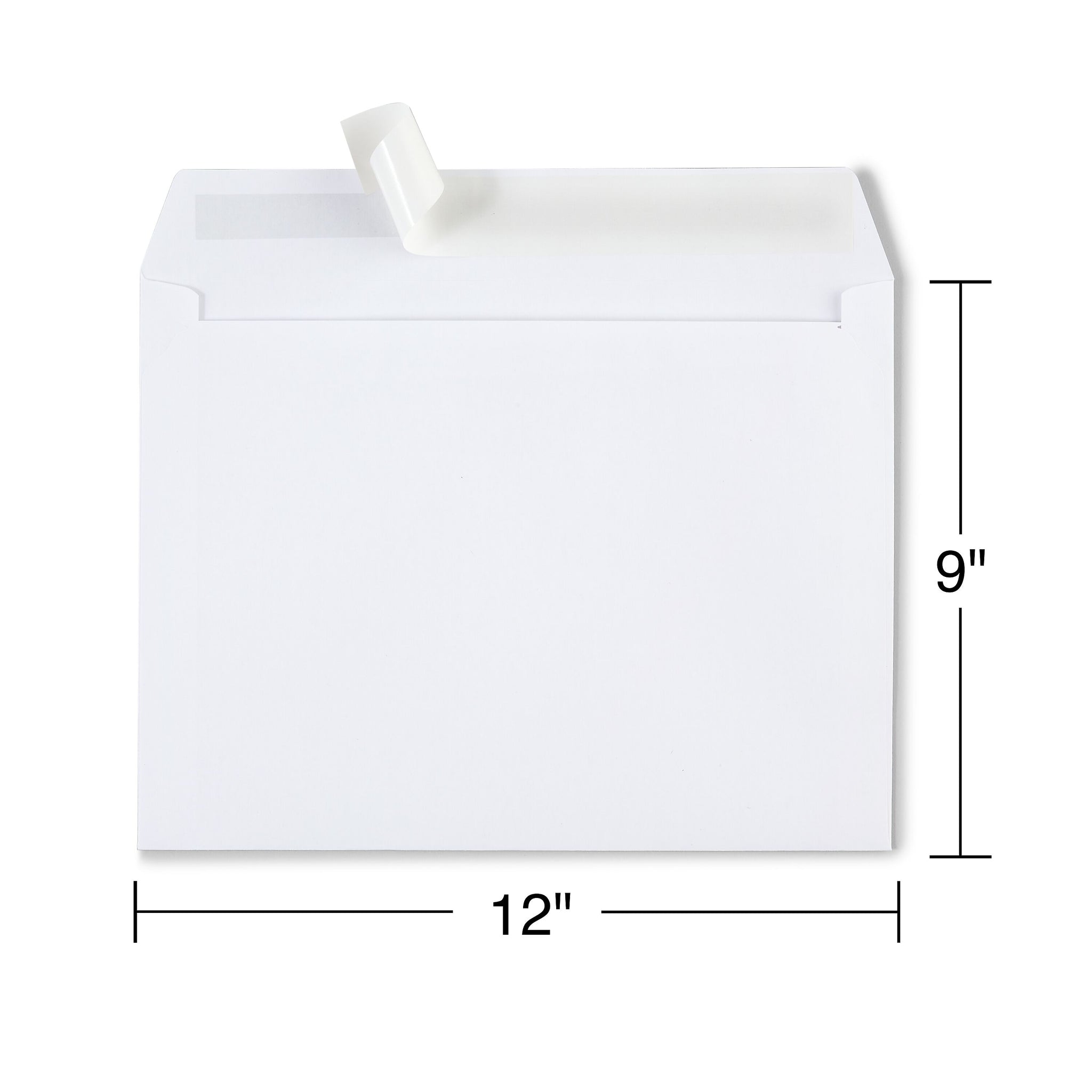 Staples EasyClose Booklet Envelopes, 12