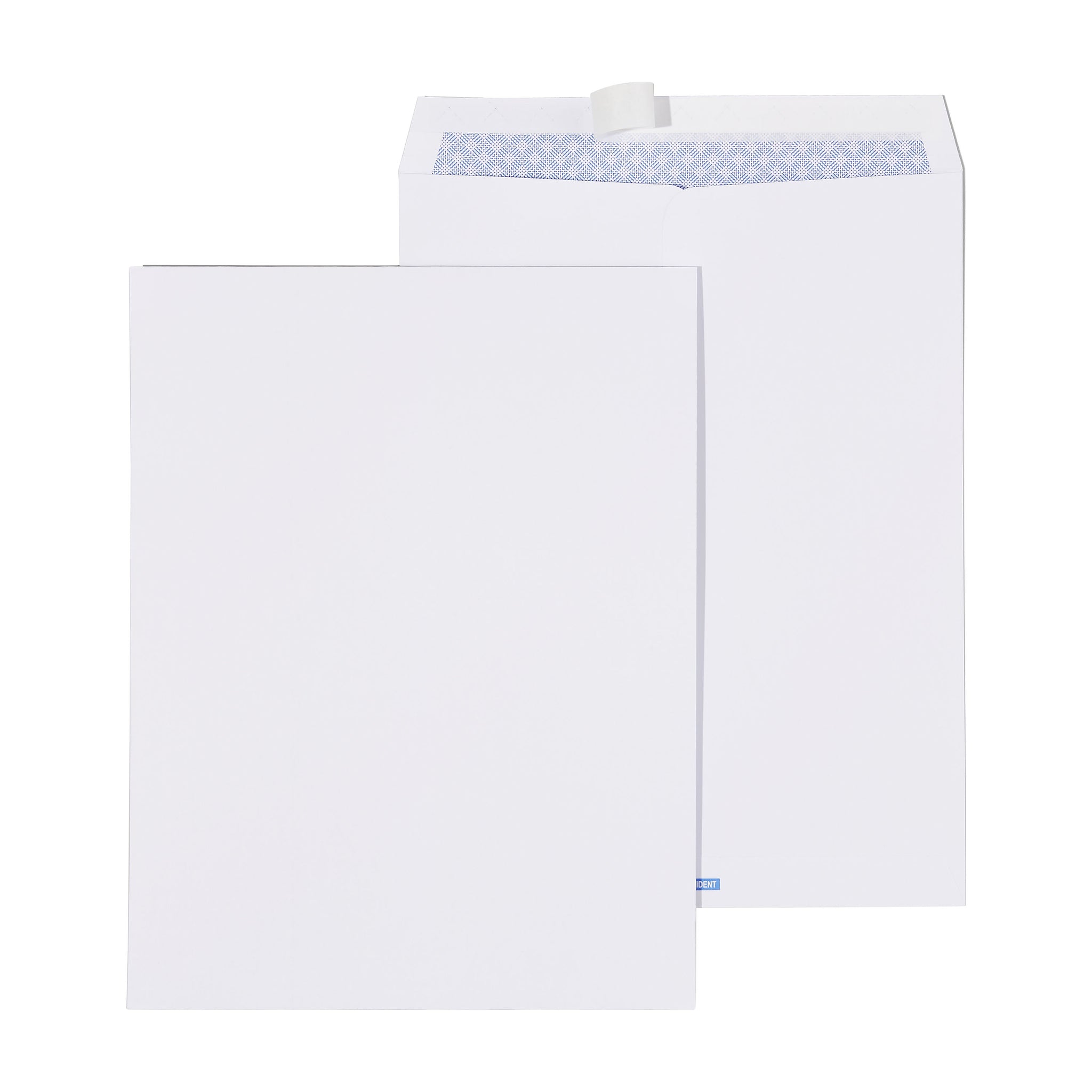 Staples EasyClose Catalog Envelopes, 10