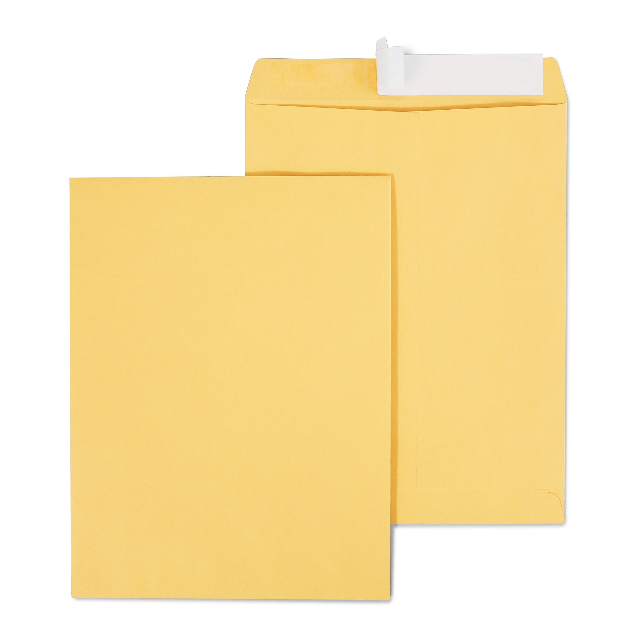 Staples EasyClose Catalog Envelopes, 10