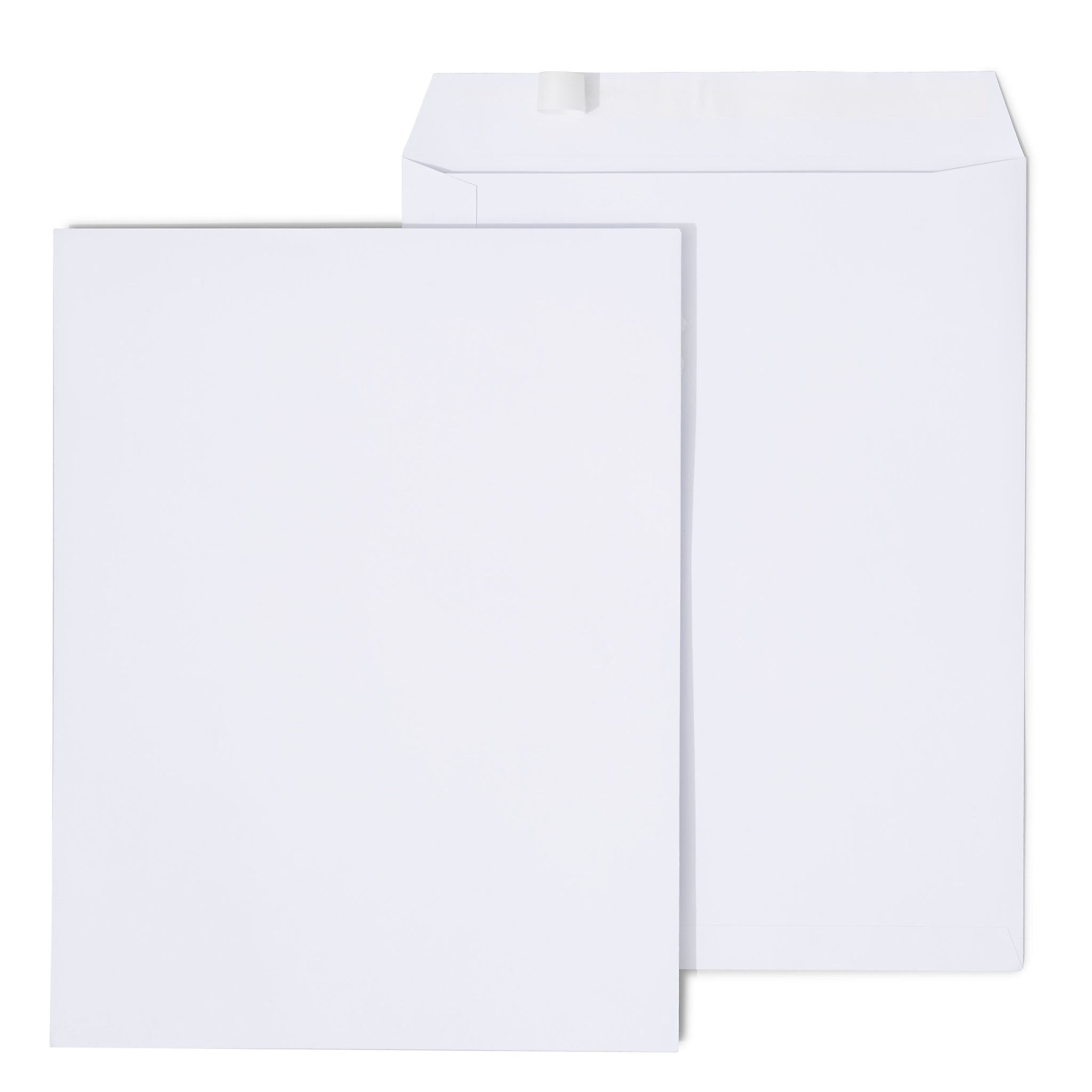Staples EasyClose Catalog Envelopes, 10