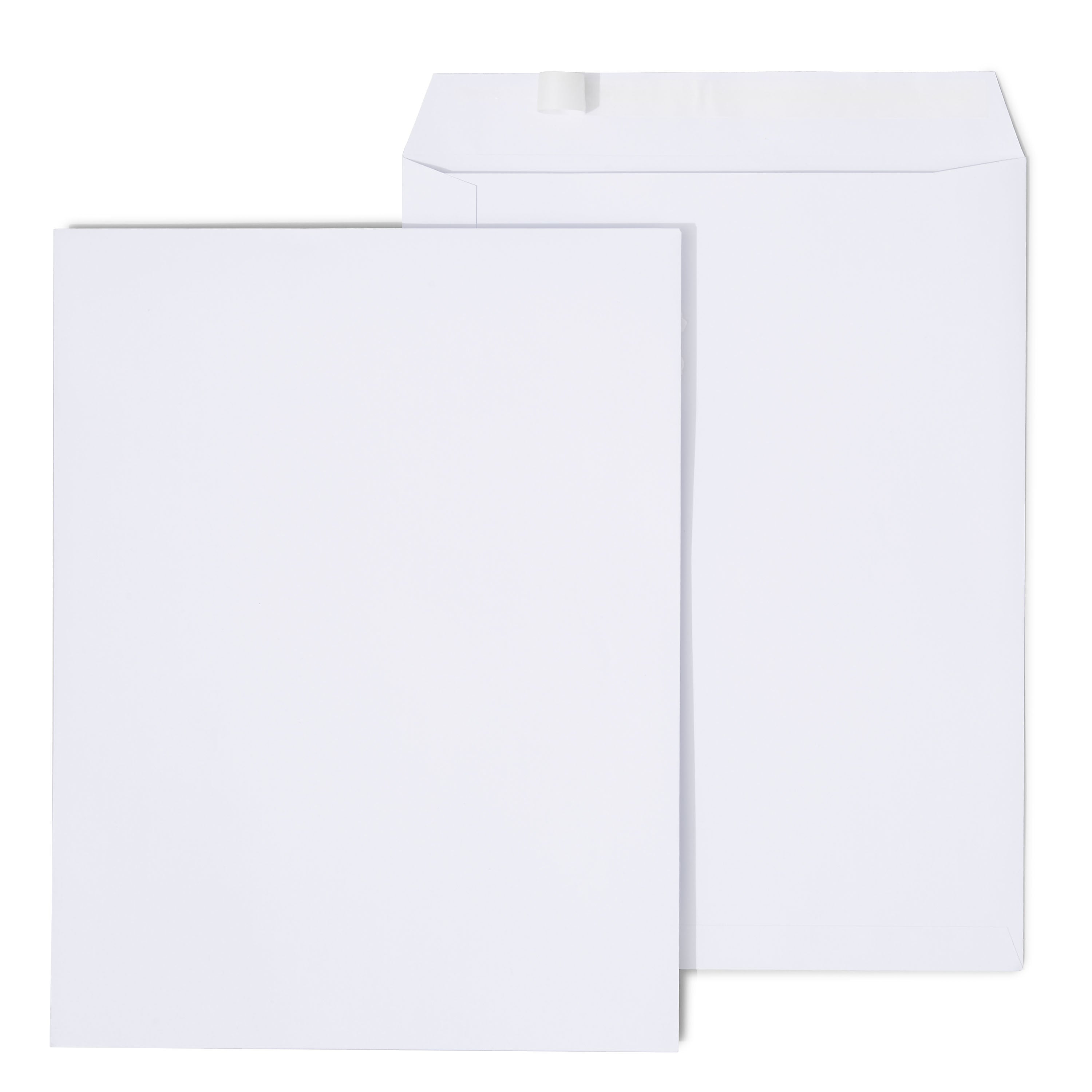 Staples EasyClose Catalog Envelopes, 10"L x 13"H, White, 100/Box