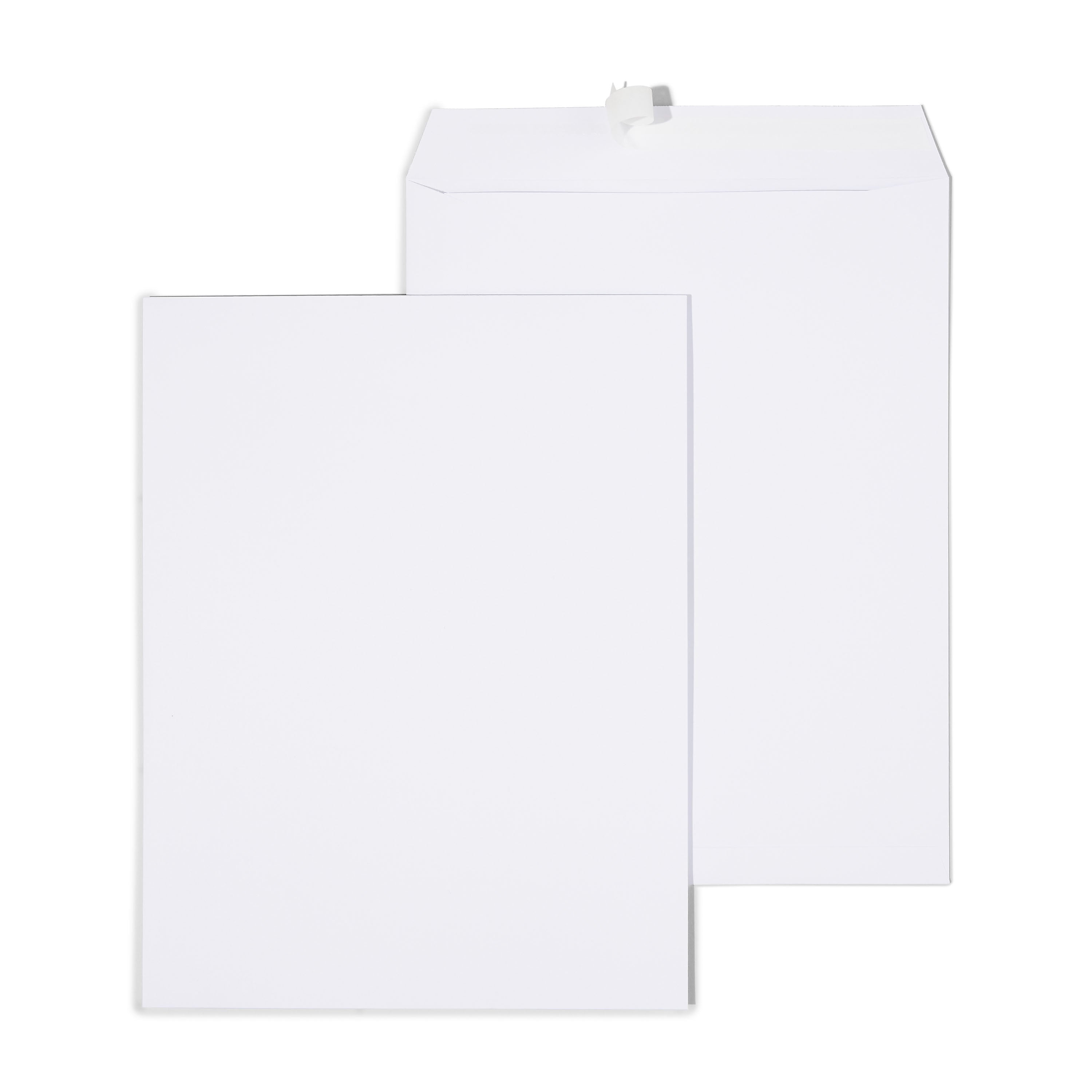 Staples EasyClose Catalog Envelopes, 10"L x 13"H, White, 250/Box