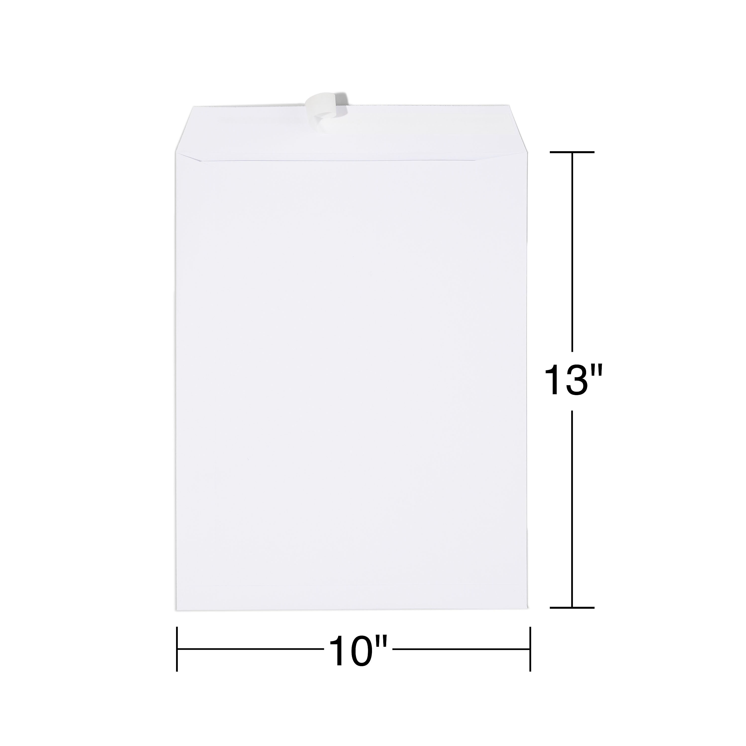Staples EasyClose Catalog Envelopes, 10