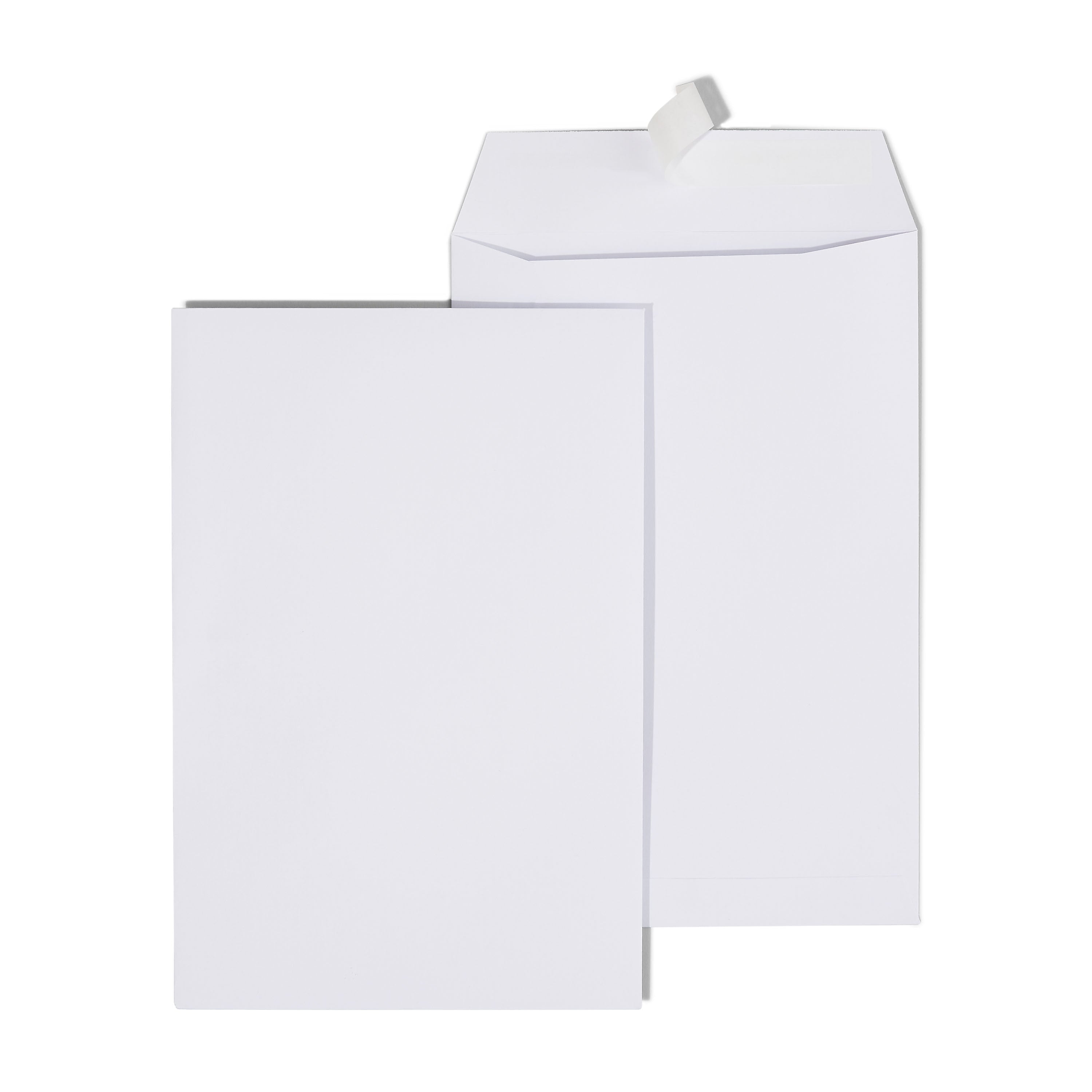 Staples EasyClose Catalog Envelopes, 6" x 9", White, 100/Box