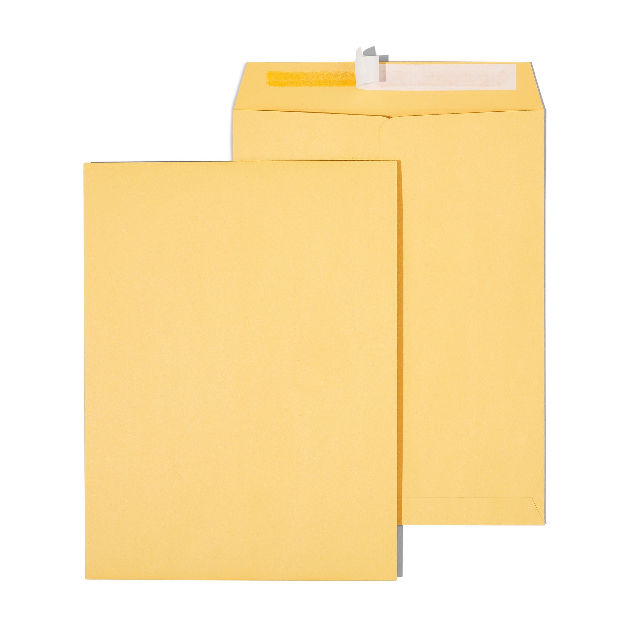 Staples EasyClose Catalog Envelopes, 9