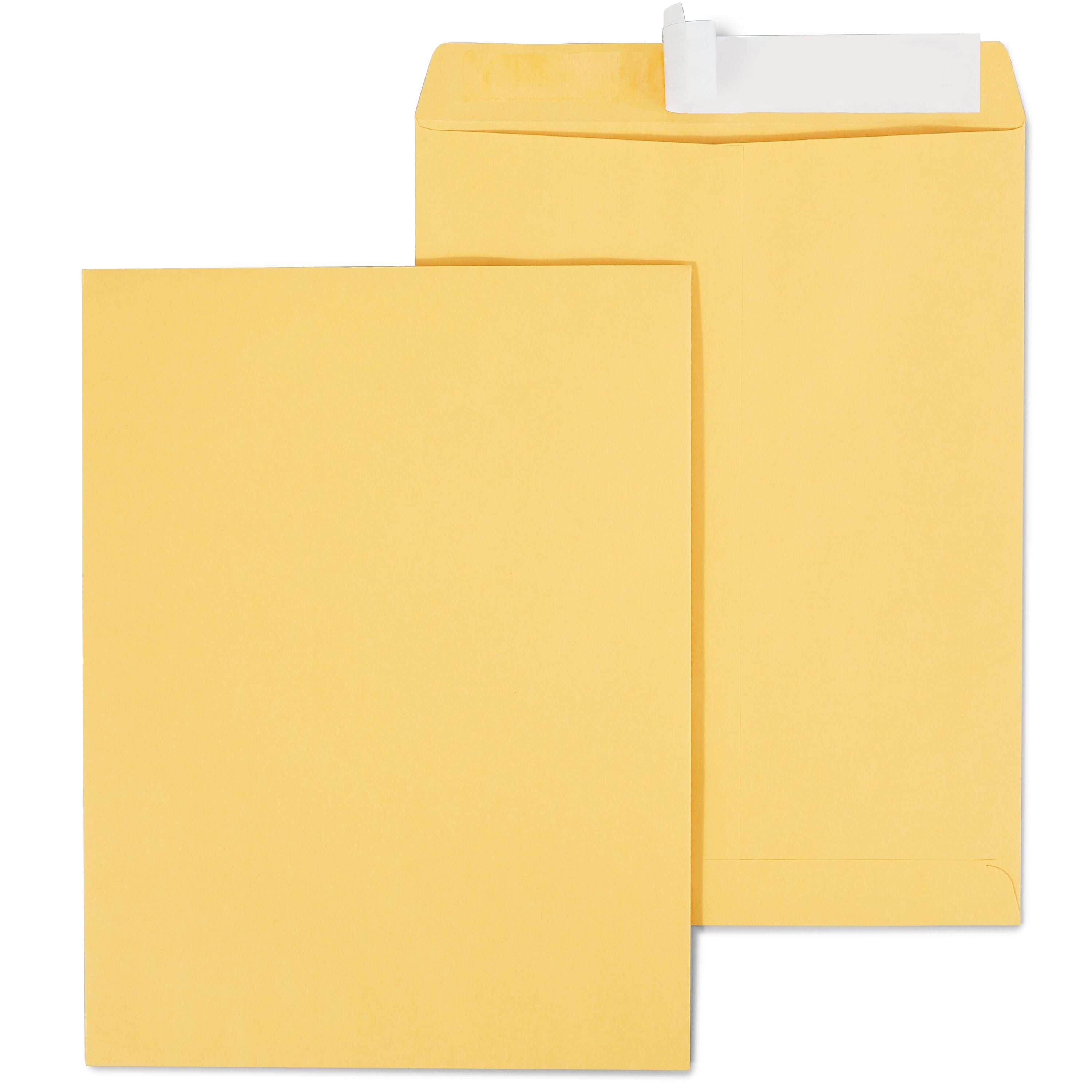 Staples EasyClose Kraft Catalog Envelopes, 10"L x 13"H, Brown, 100/Box